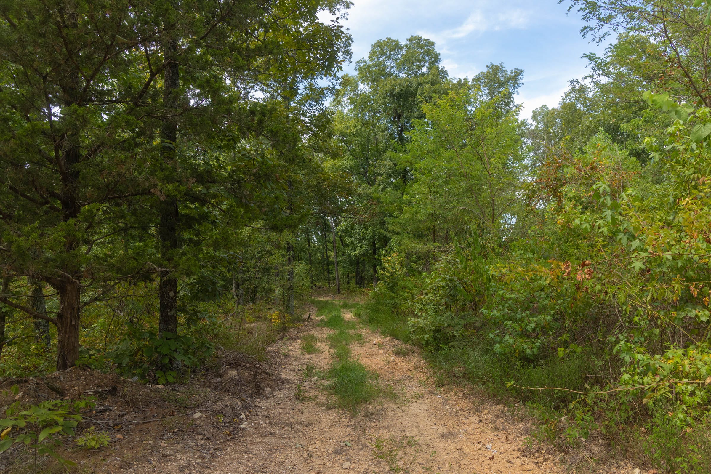 Big White Oak Tract 146 photo 1