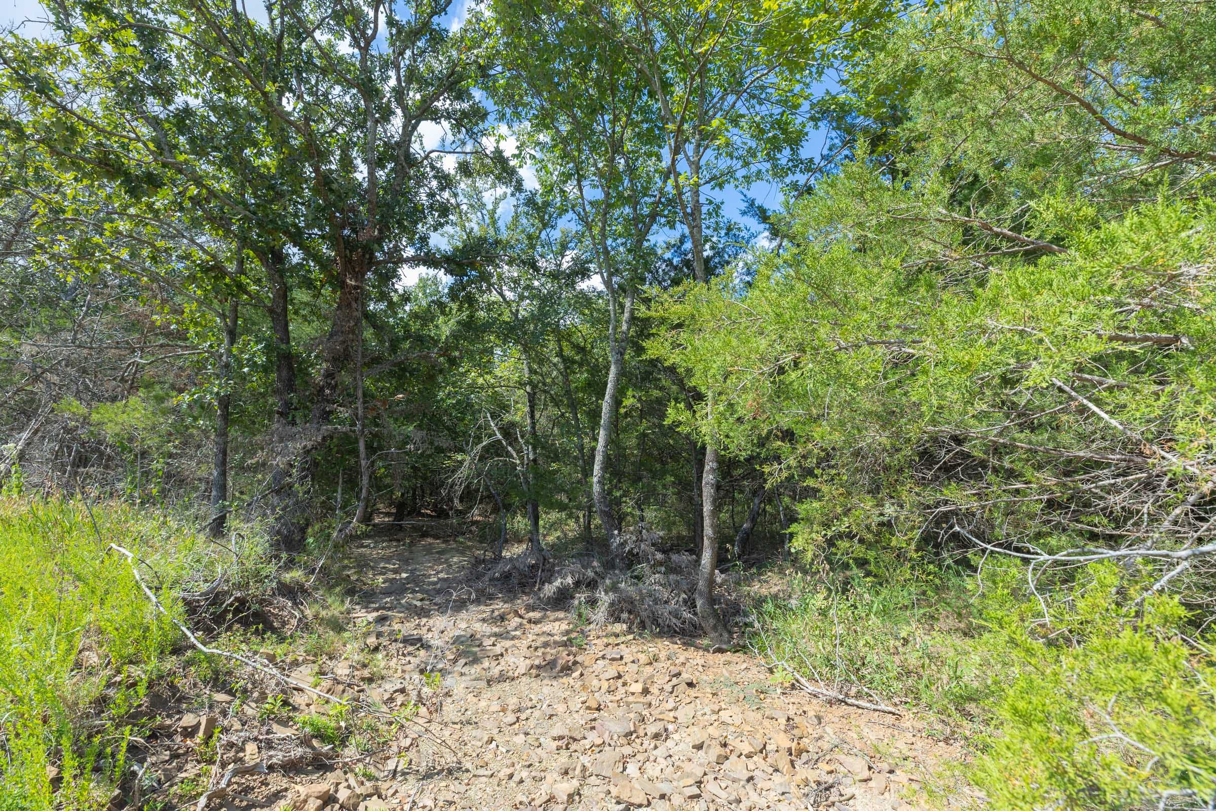 Reserves At Cattail Cove Phase II Tract 85 photo 5