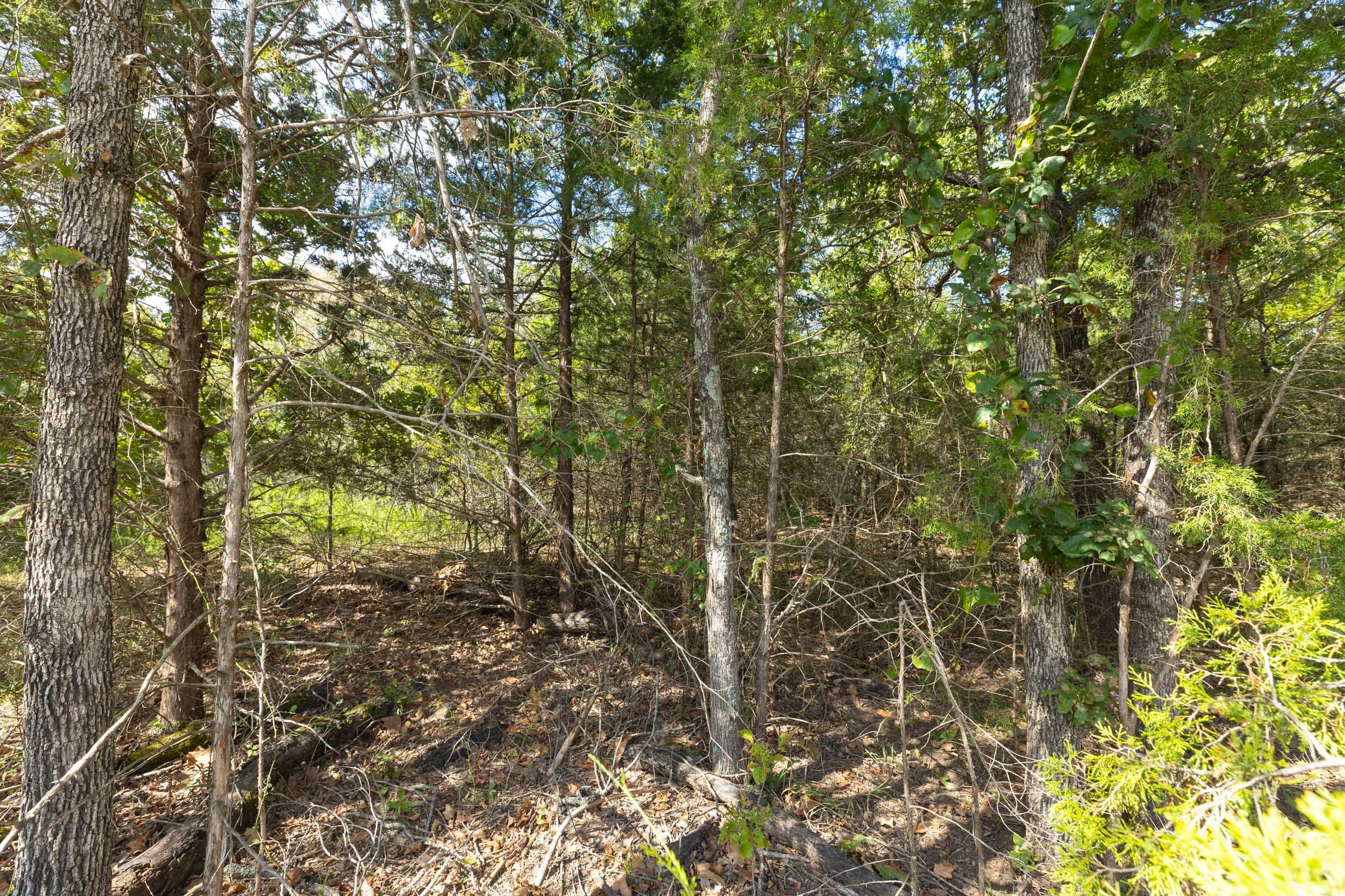 Reserves At Cattail Cove Phase II Tract 85 photo 11