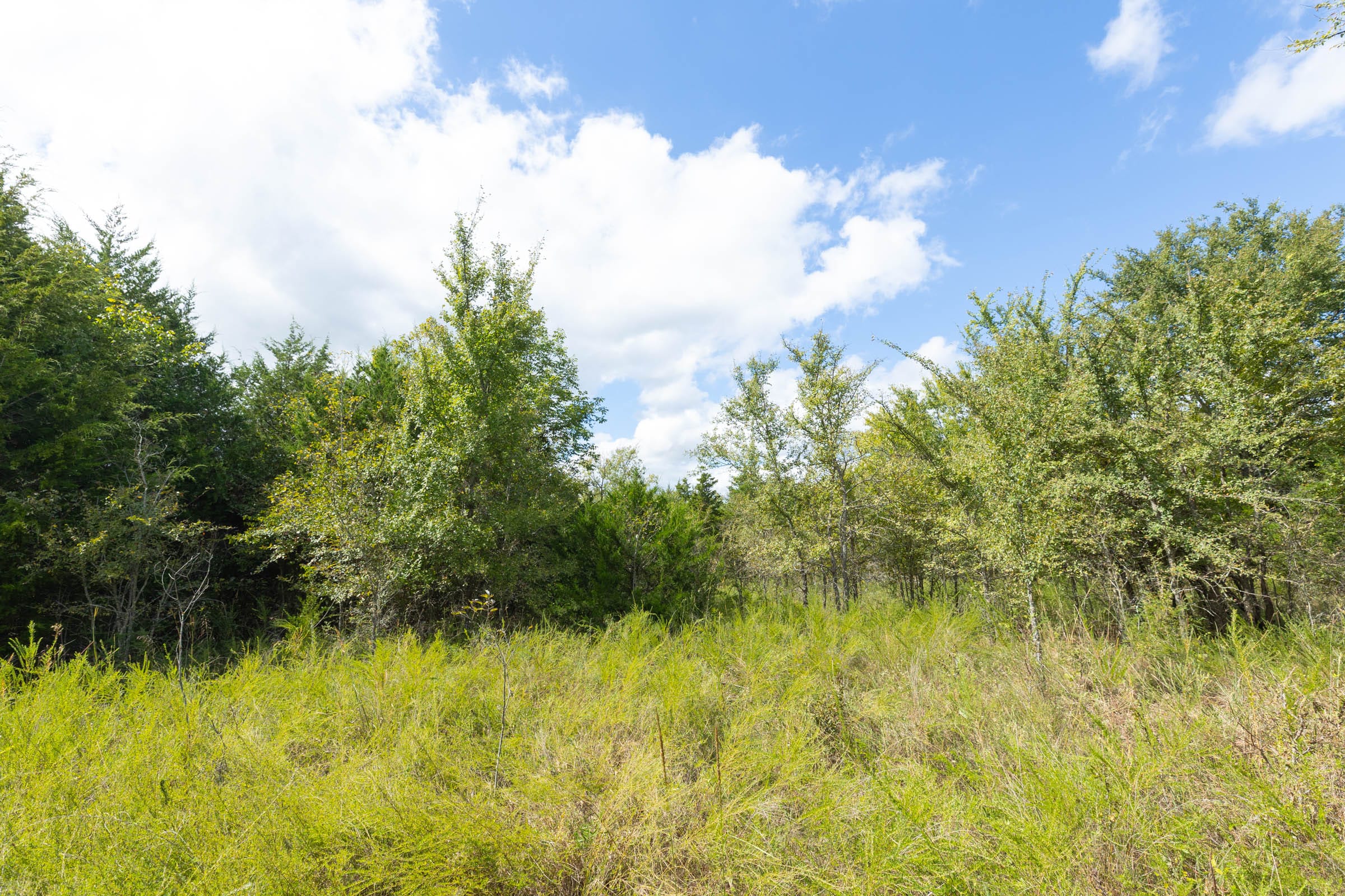 Reserves At Cattail Cove Phase II Tract 85 photo 3