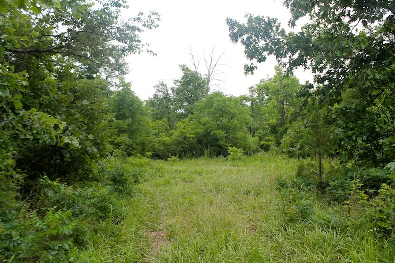 Green Mountain Ranch Tract 49 photo 10