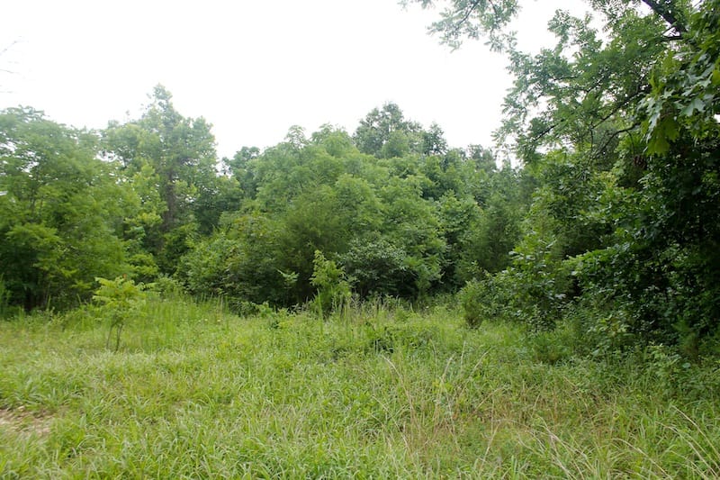 Green Mountain Ranch Tract 49 photo 11