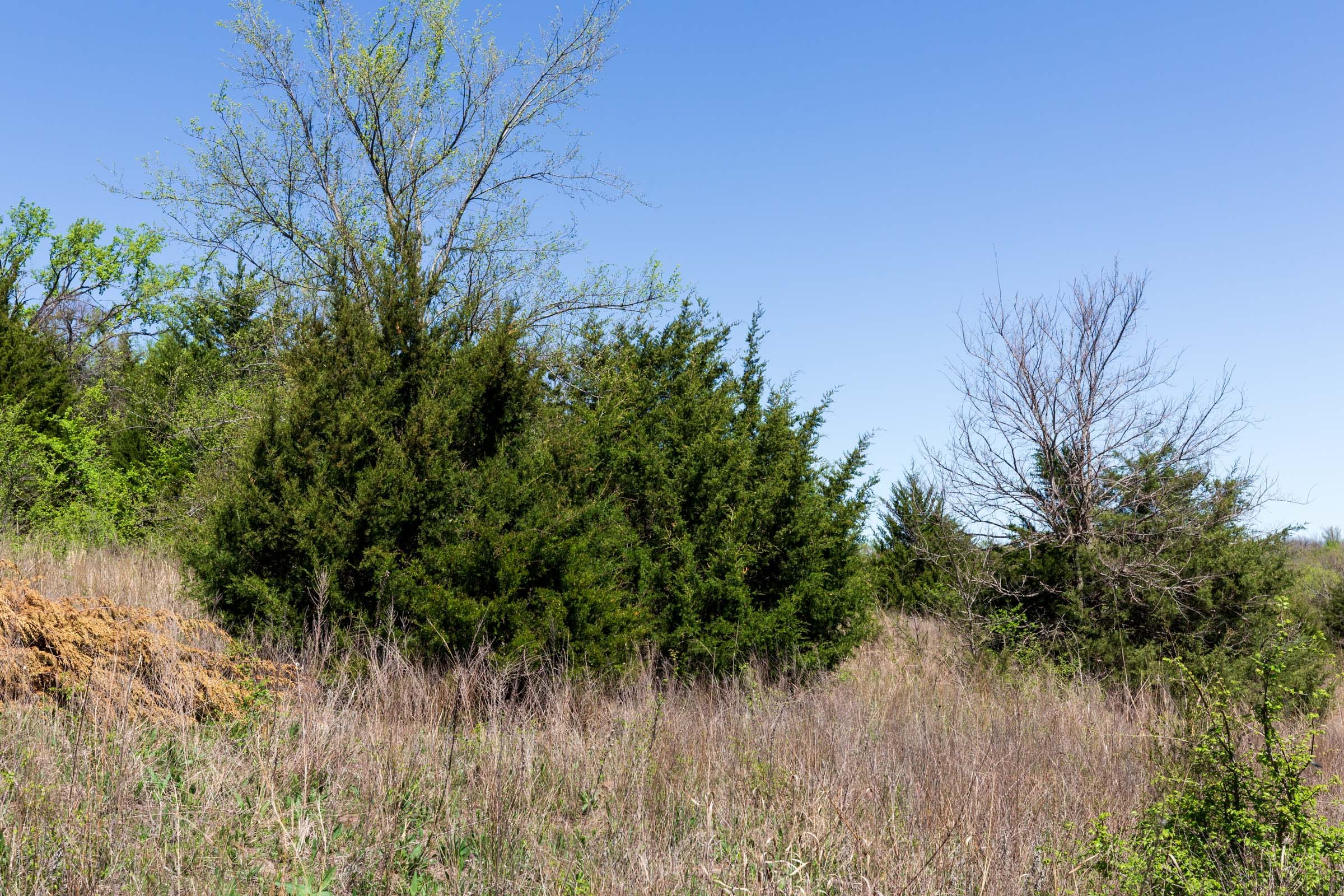 Prairie Grove Tract 16 photo 2