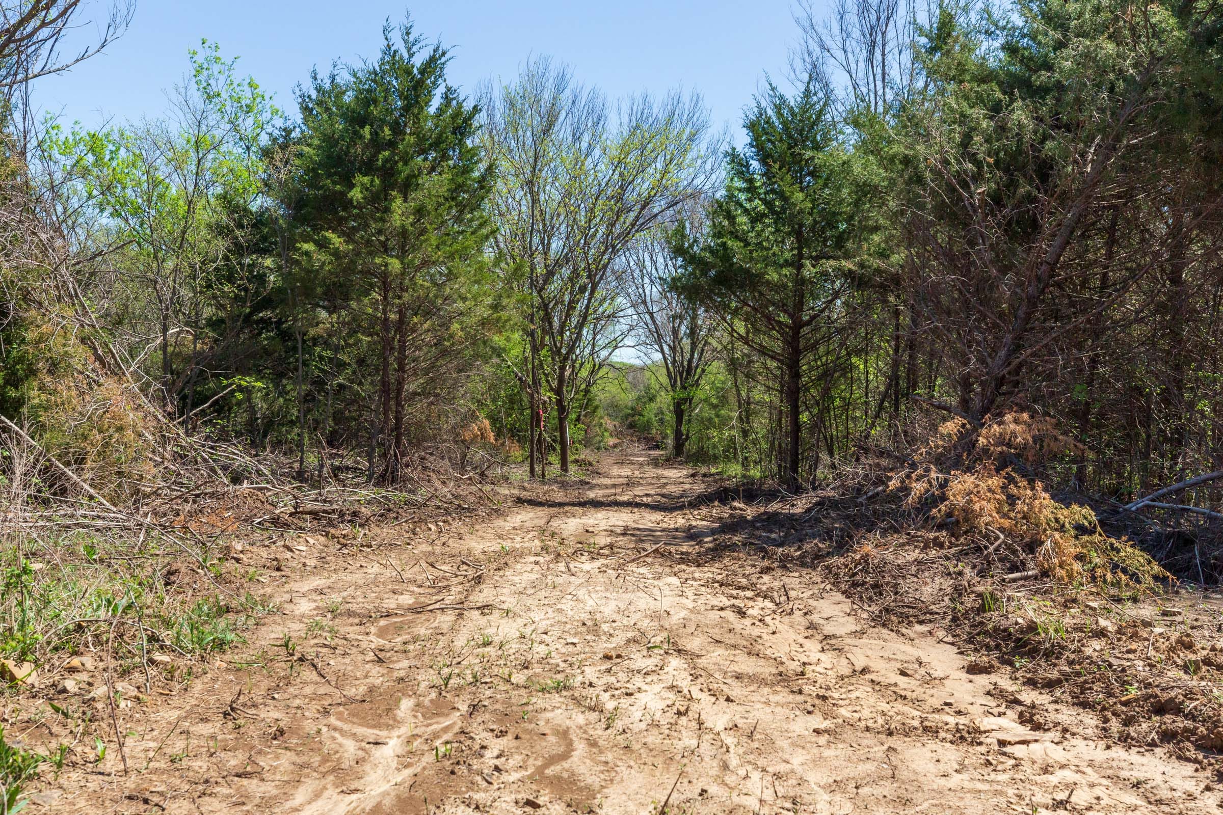 Prairie Grove Tract 16 photo 10