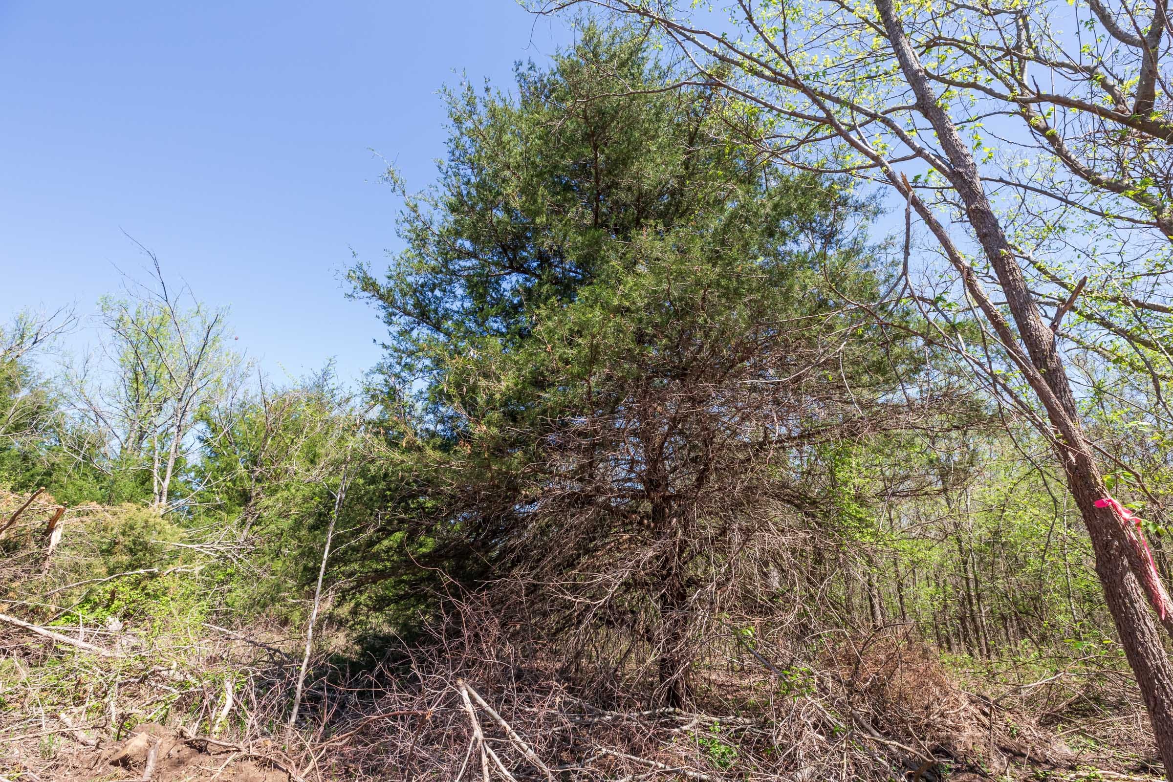 Prairie Grove Tract 16 photo 8