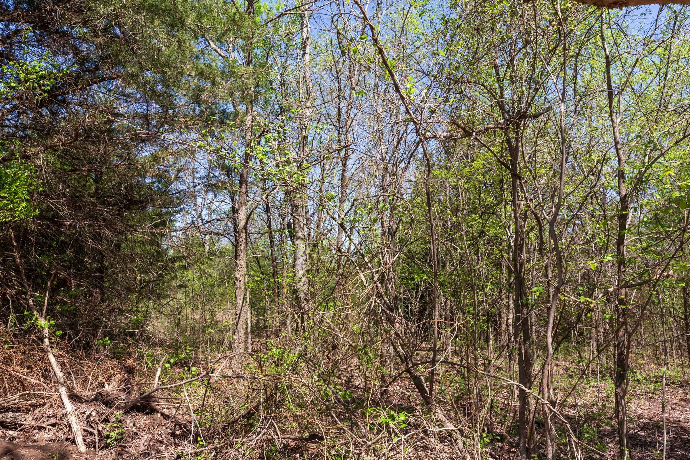 Prairie Grove Tract 16 photo 13