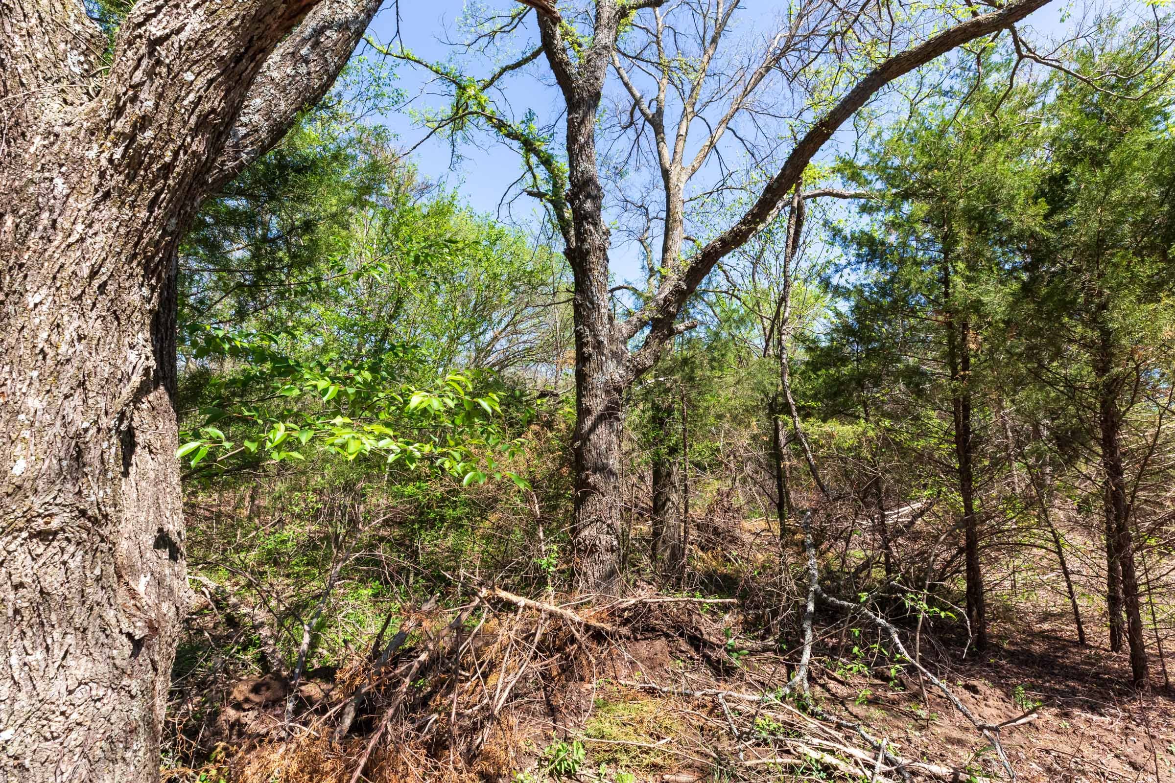 Prairie Grove Tract 16 photo 11