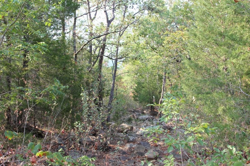 Lake View Ranch Tract 21 photo 2