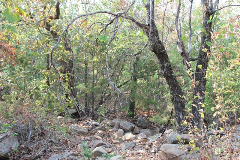 Lake View Ranch Tract 21 photo 3