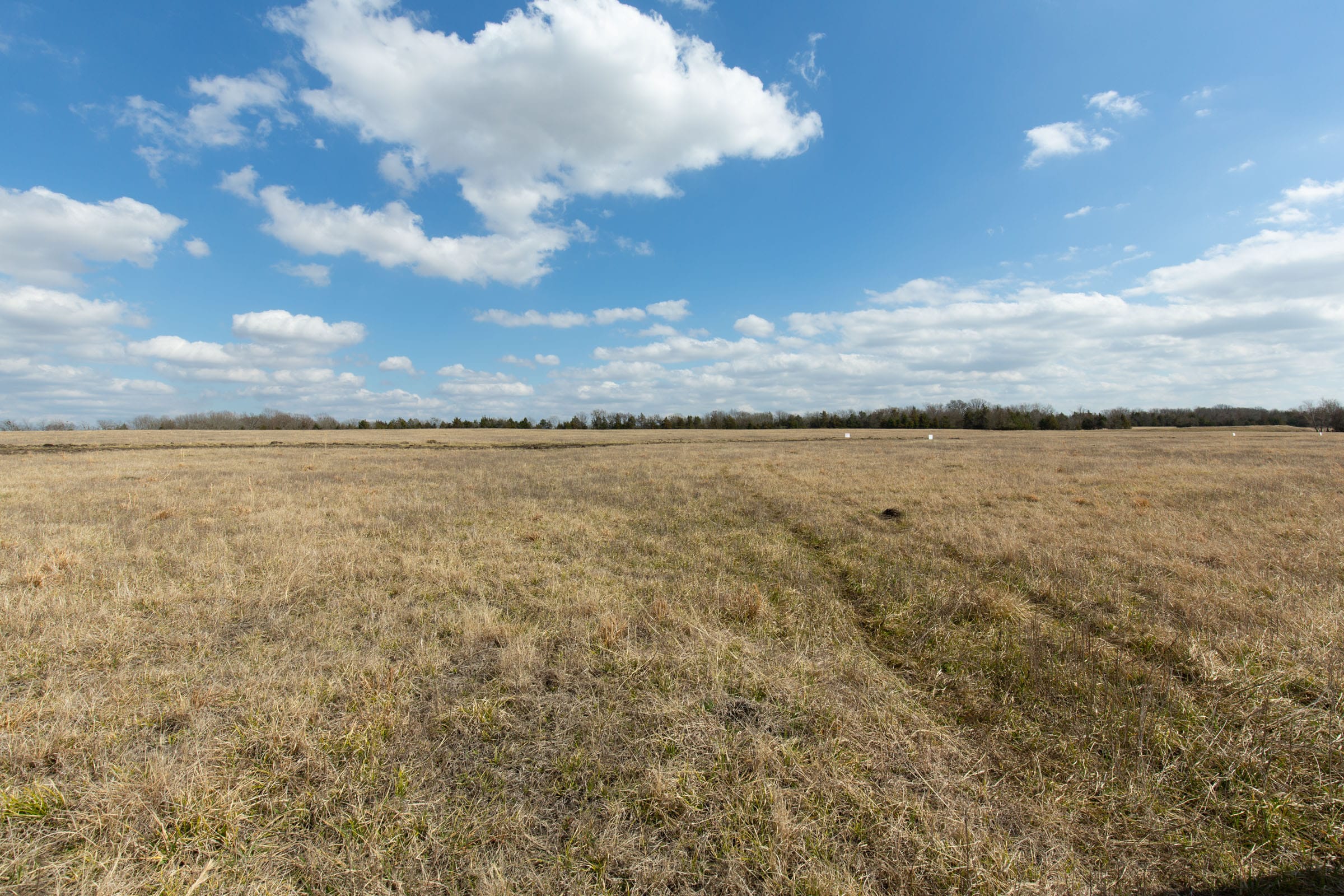 Wishing Star Ranch Tract 95 photo 4