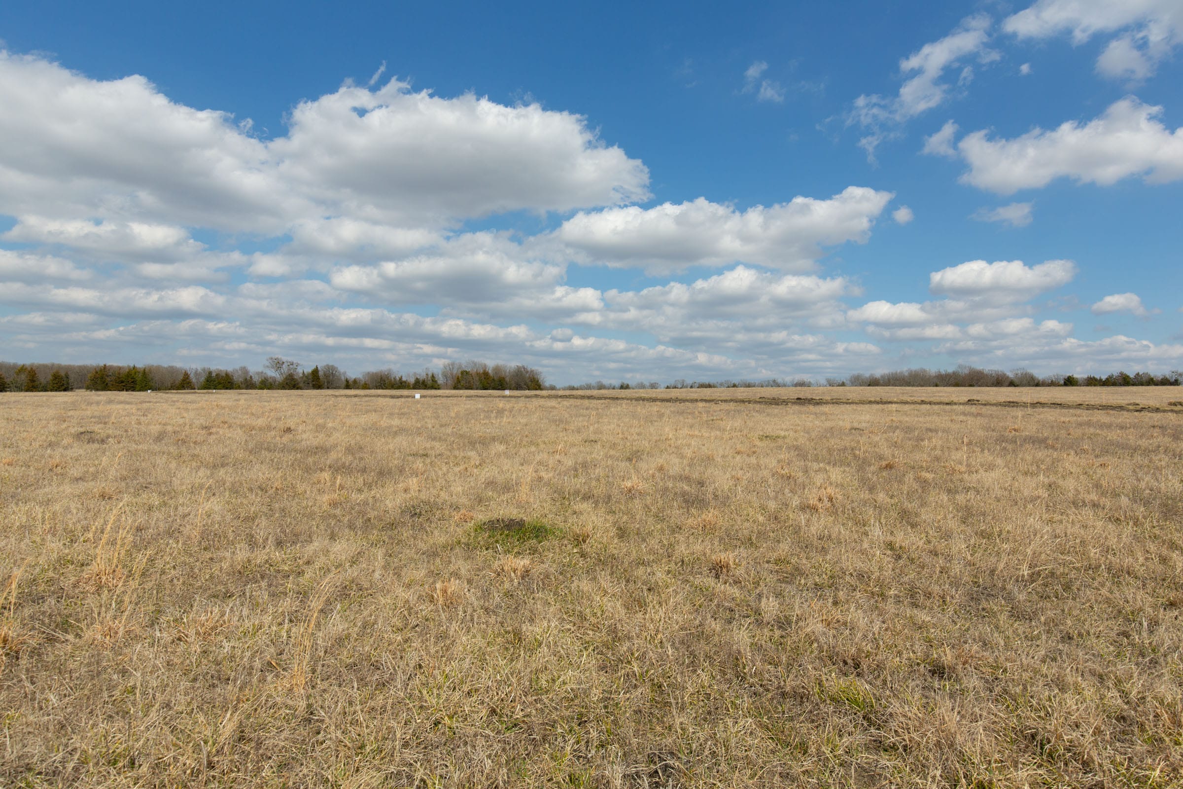 Wishing Star Ranch Tract 95 photo 5