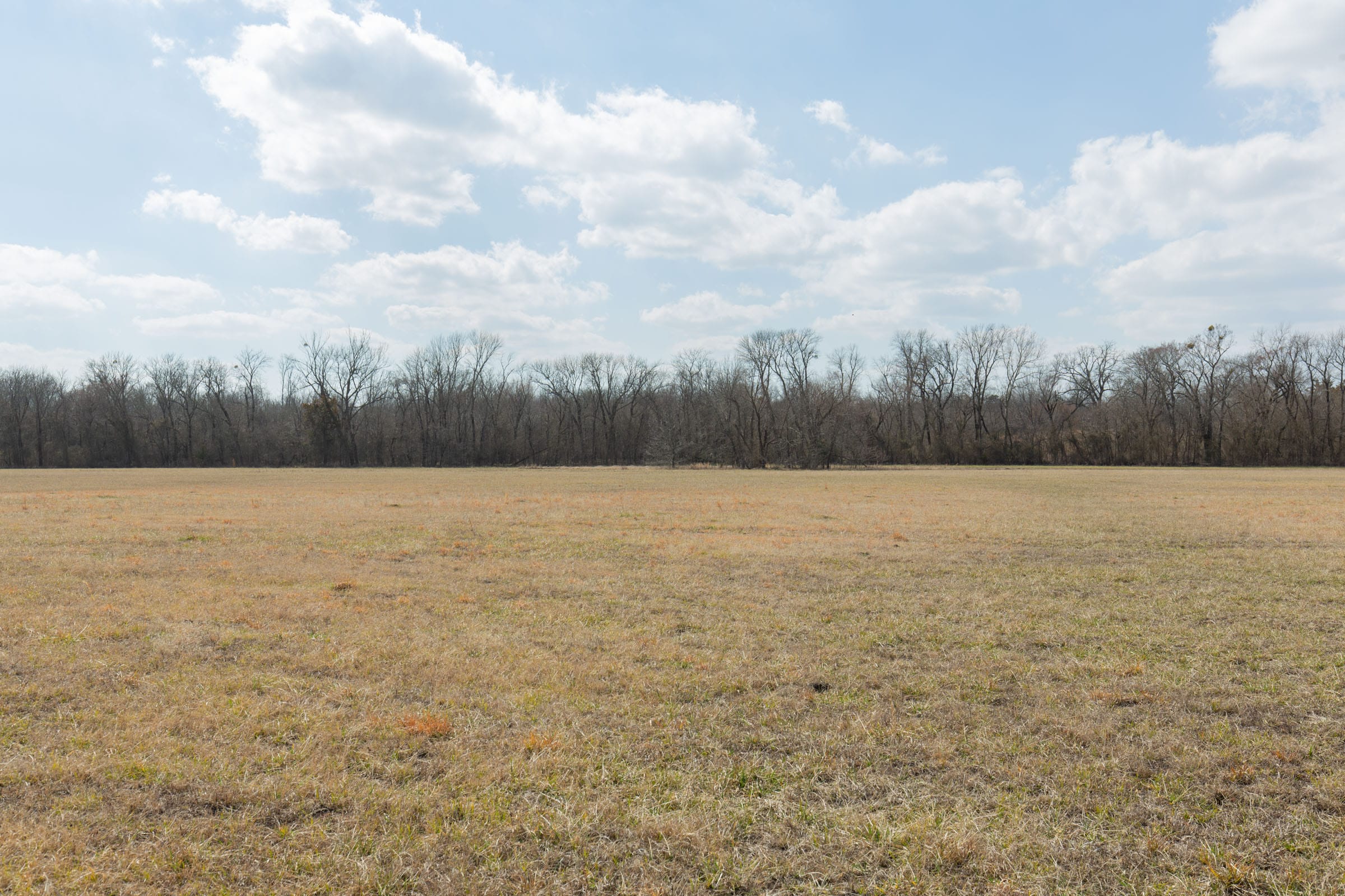 Wishing Star Ranch Tract 95 photo 6