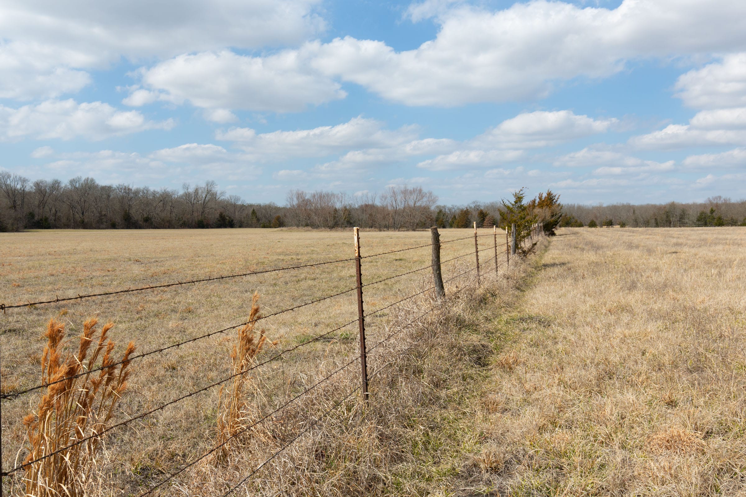 Wishing Star Ranch Tract 95 photo 8