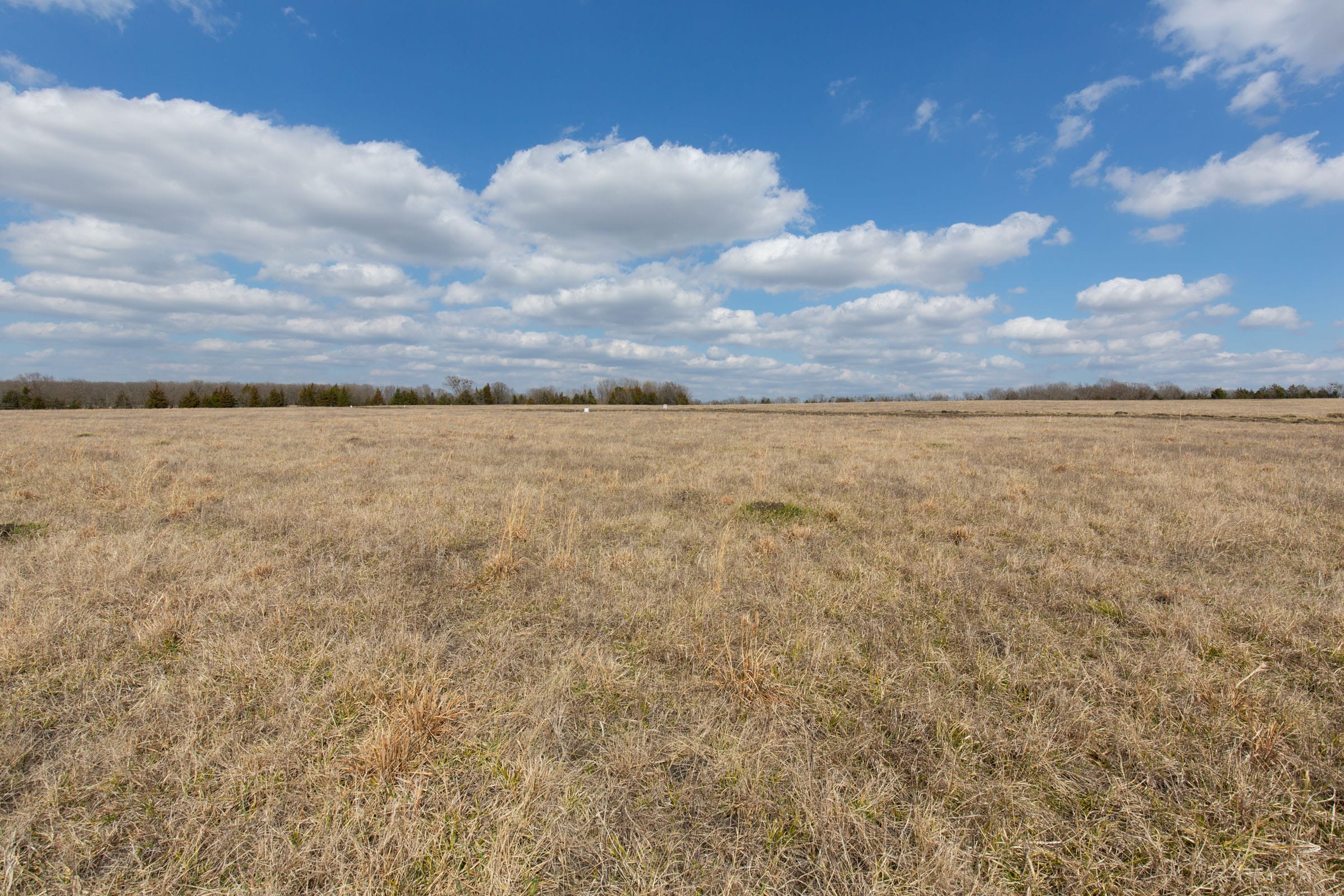 Wishing Star Ranch Tract 95 photo 10