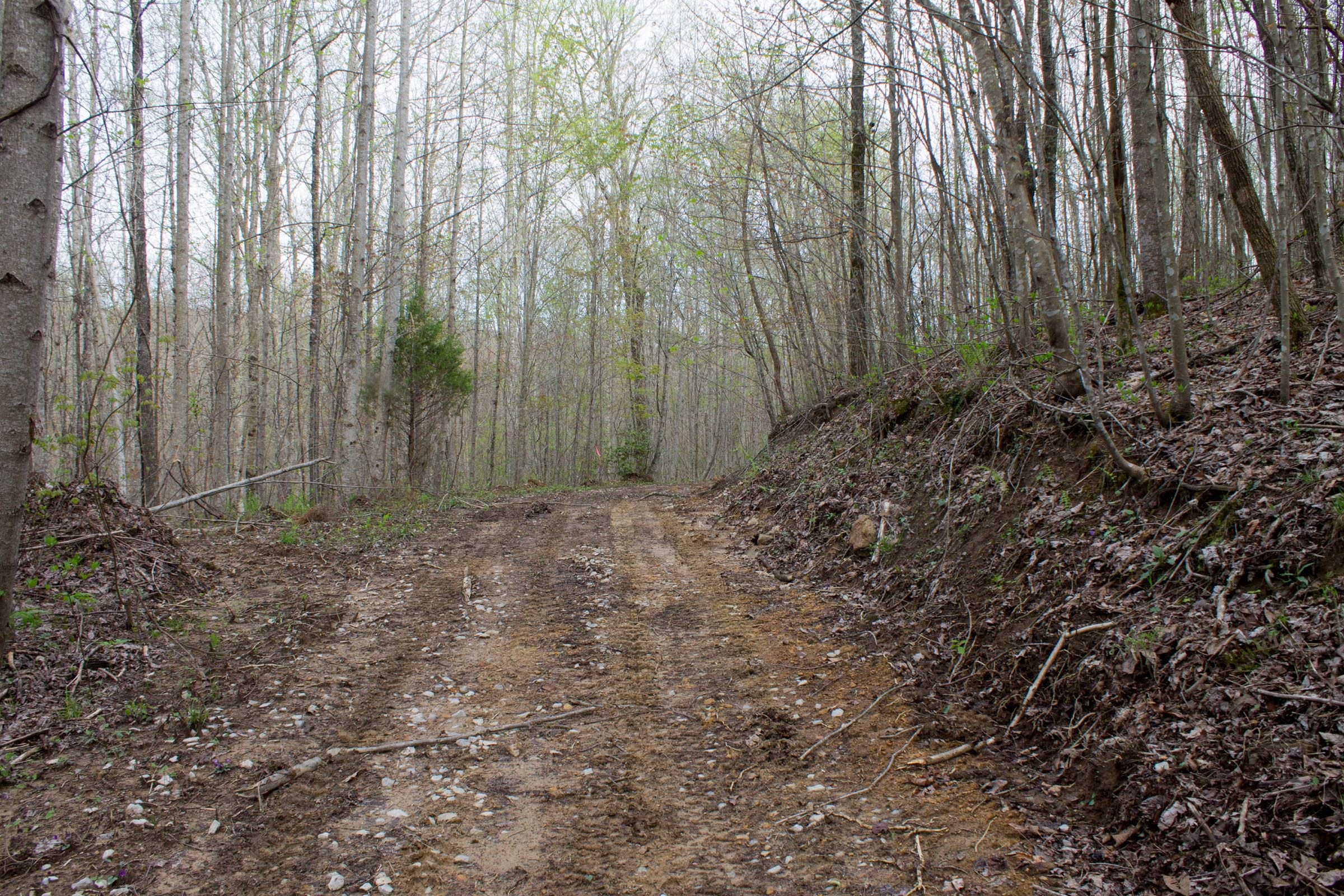 Hidden Hills Tract 50 photo 1