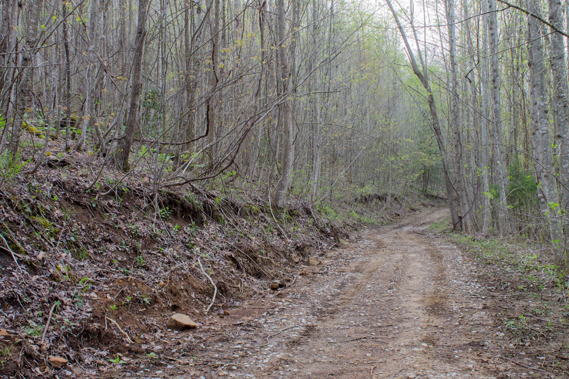 Hidden Hills Tract 50 photo 2