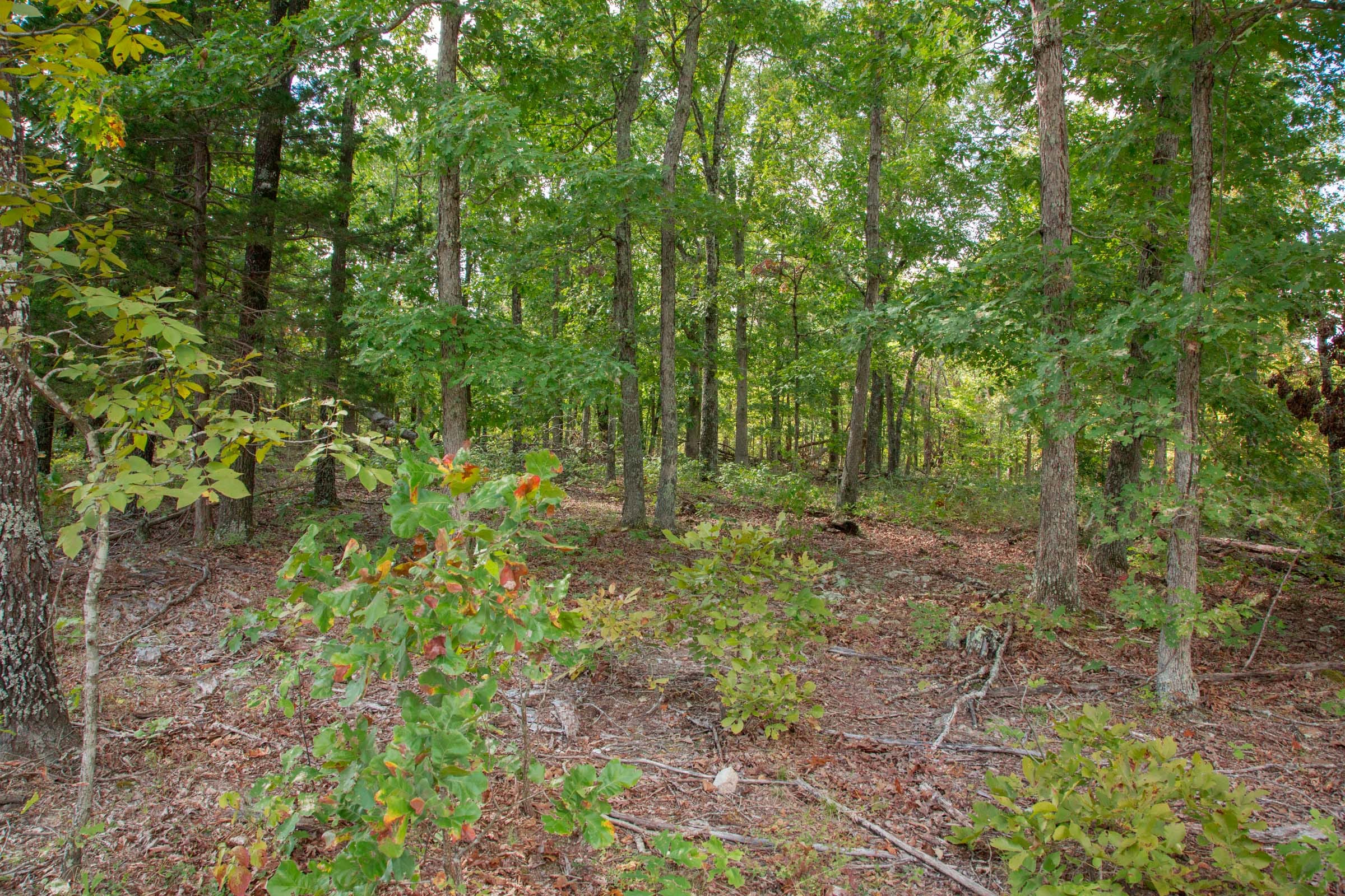 Wagon Wheel Ranch Tract 22 photo 3