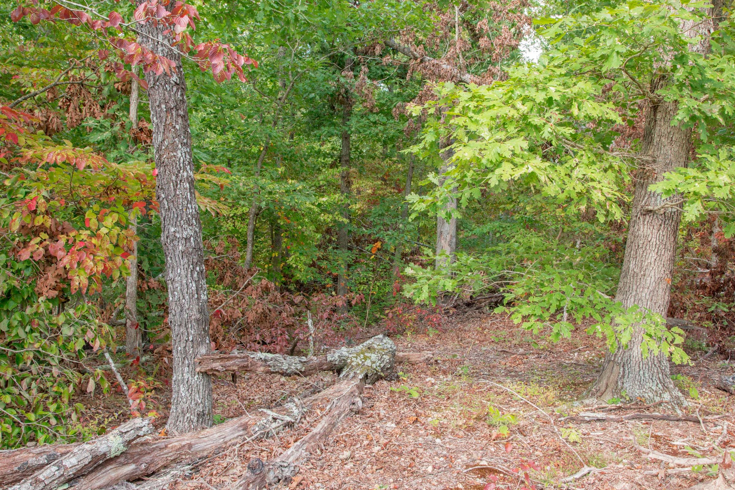 Wagon Wheel Ranch Tract 22 photo 7