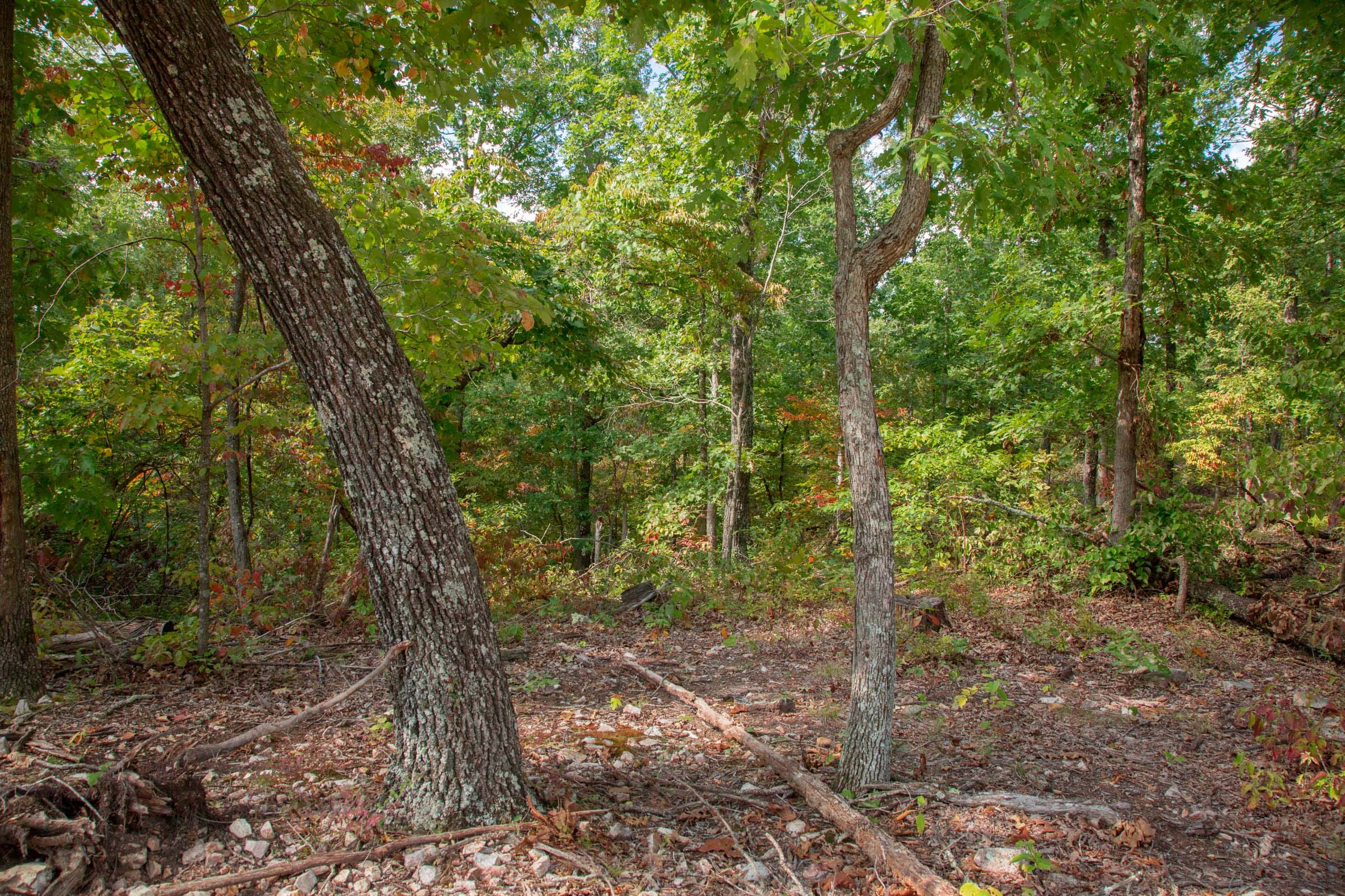 Wagon Wheel Ranch Tract 22 photo 8