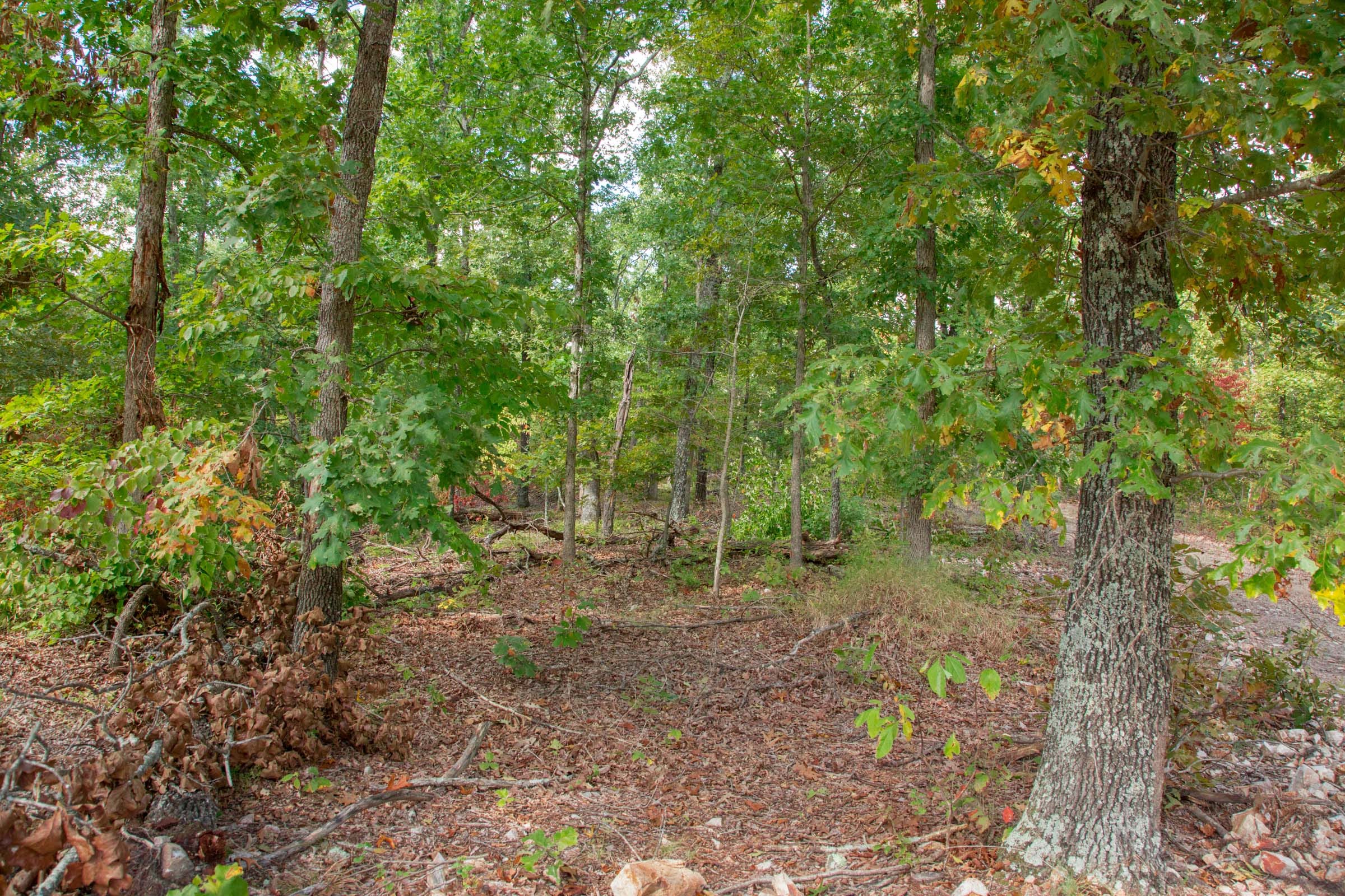 Wagon Wheel Ranch Tract 22 photo 2