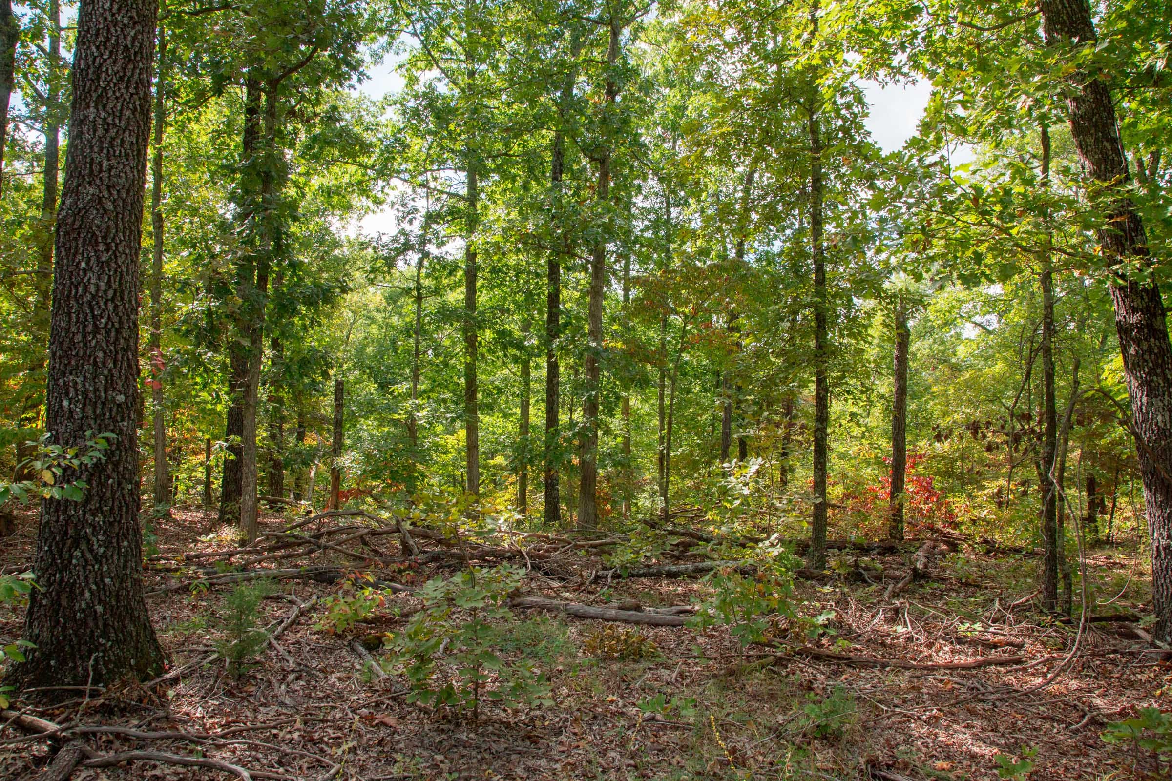 Wagon Wheel Ranch Tract 22 photo 11