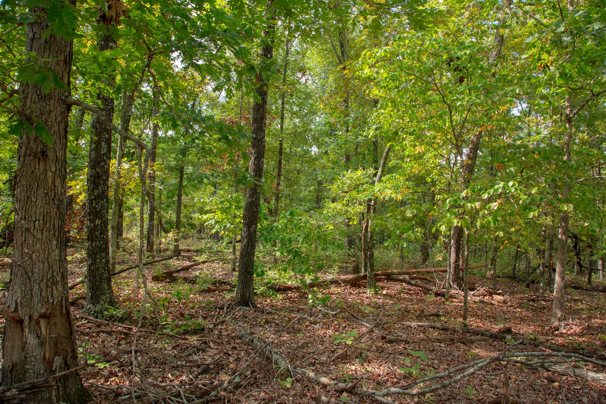 Wagon Wheel Ranch Tract 22 photo 1