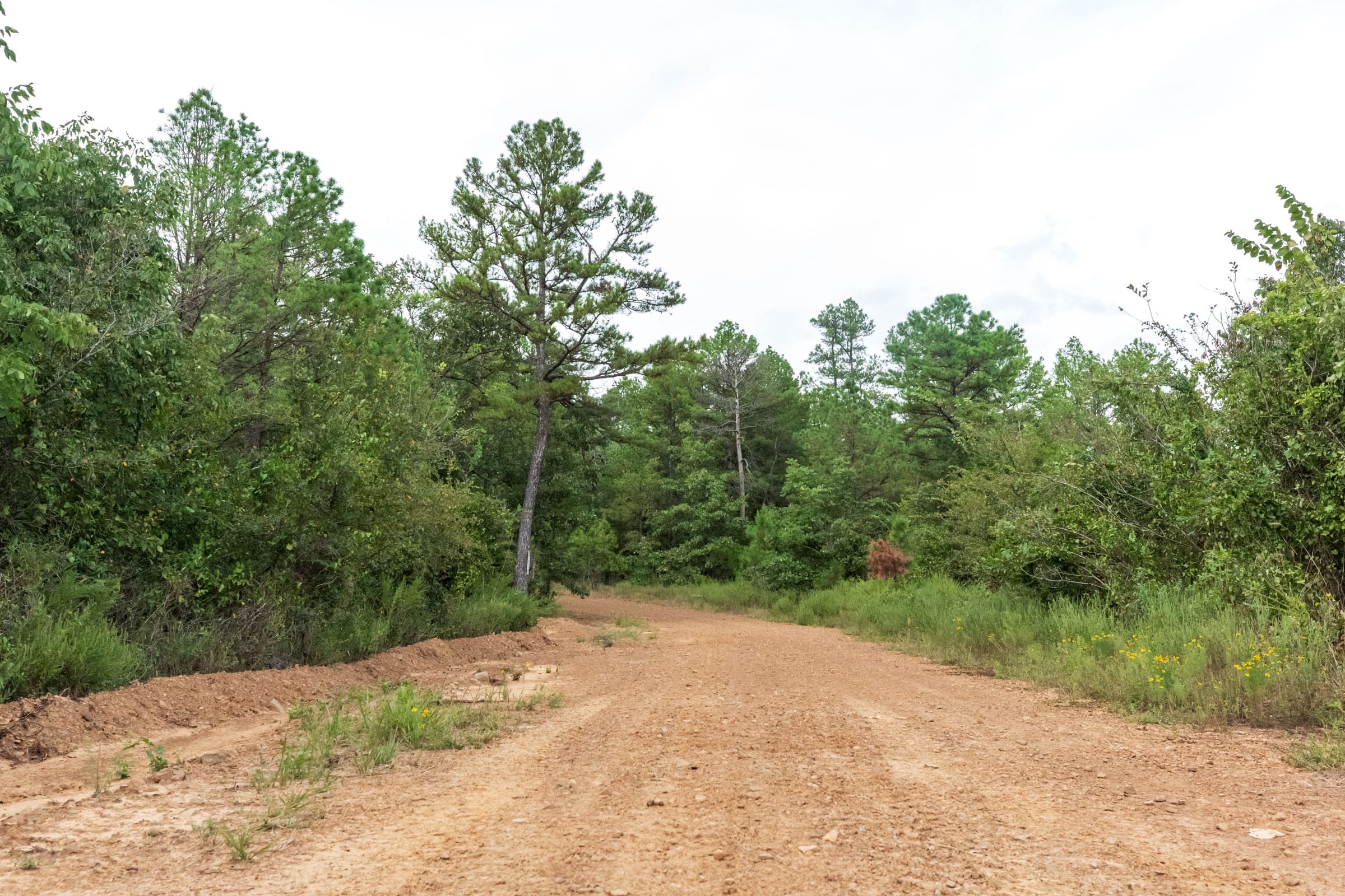 Stone Bridge Phase V Tract 396 photo 1