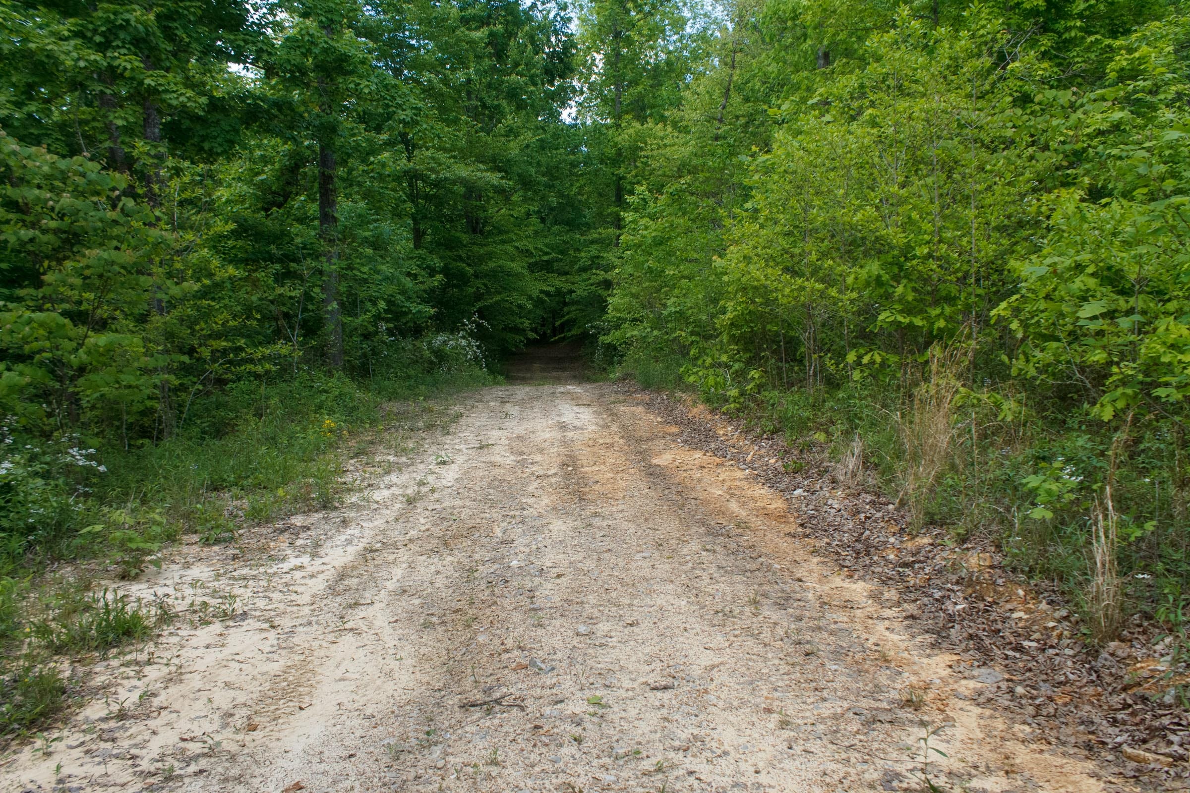 Riverbend Tract 5 photo 8