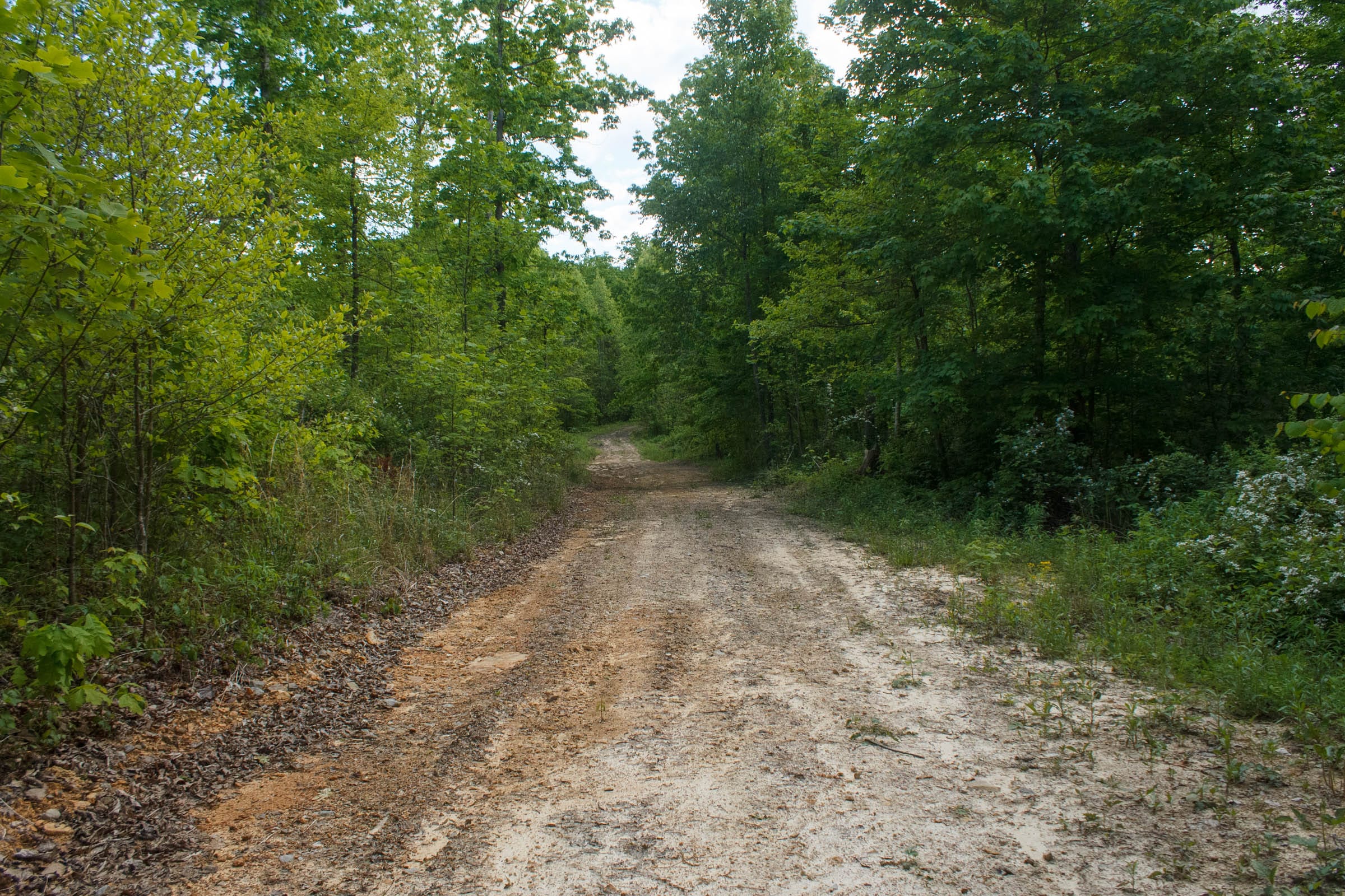 Riverbend Tract 5 photo 1