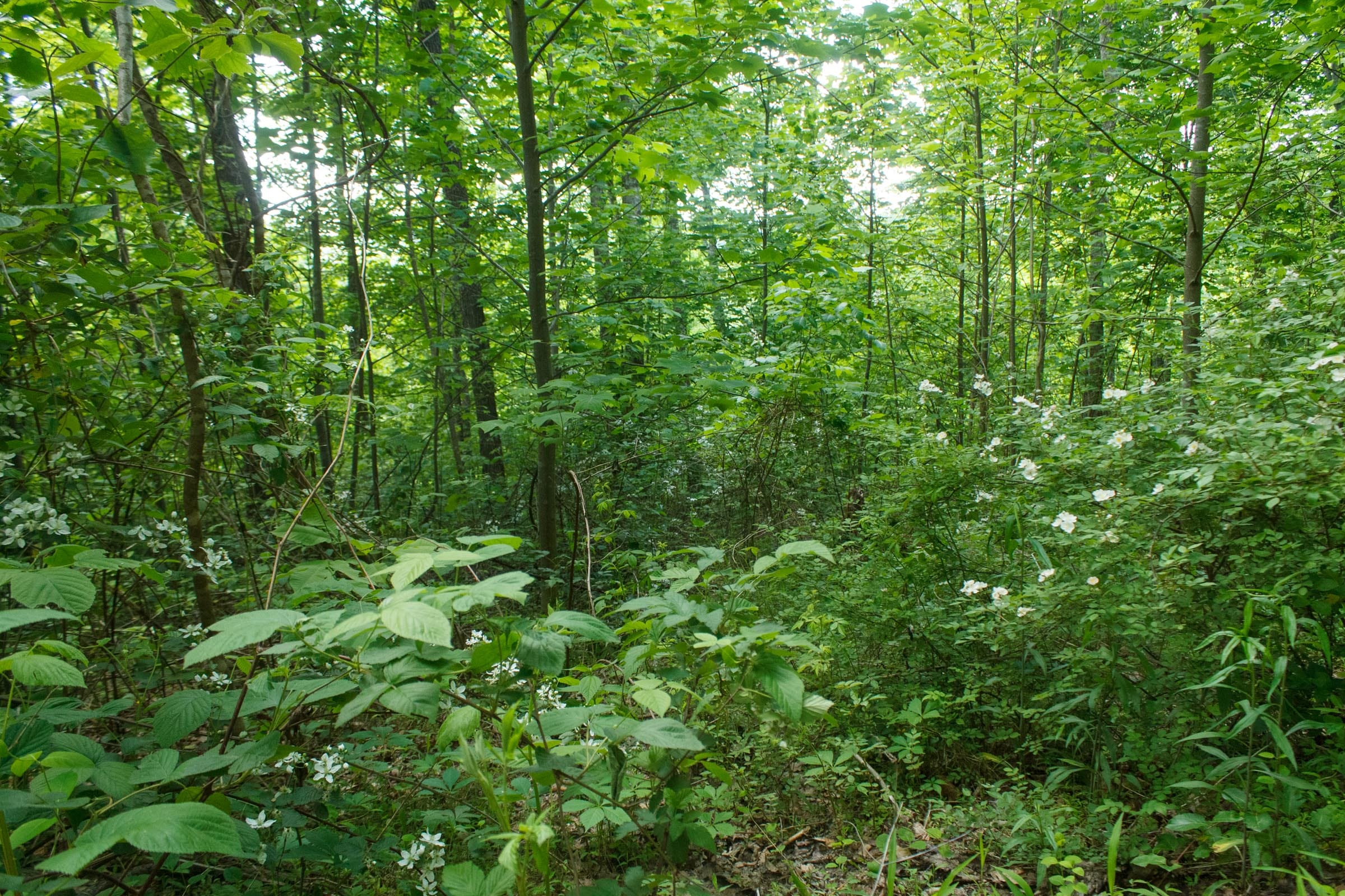 Riverbend Tract 5 photo 10