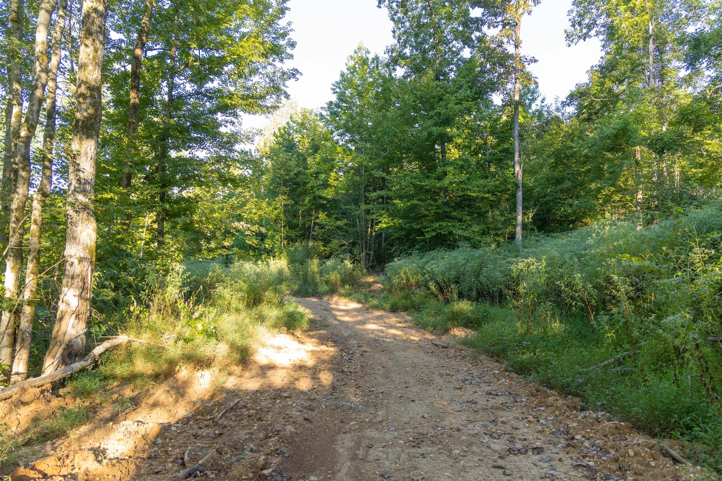 Big White Oak Tract 91 photo 1