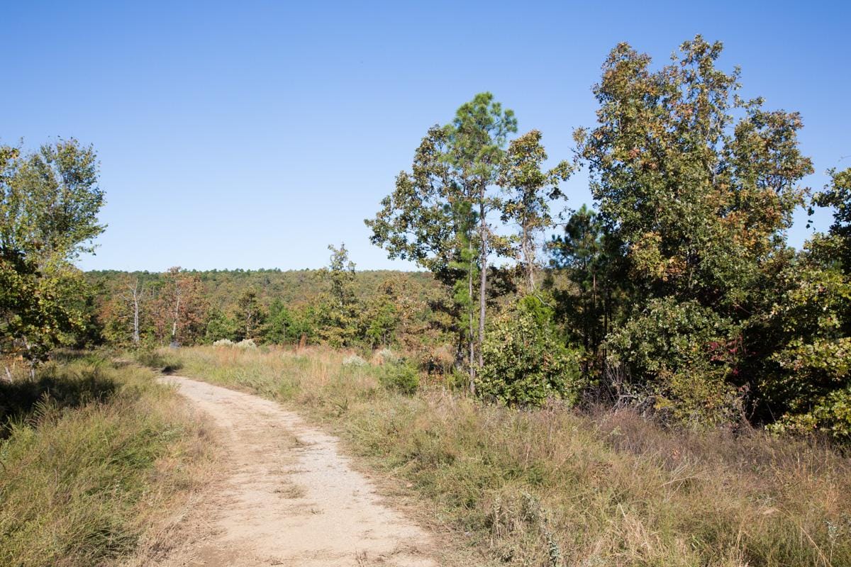 Stone Creek Phase I Tract 152 photo 6