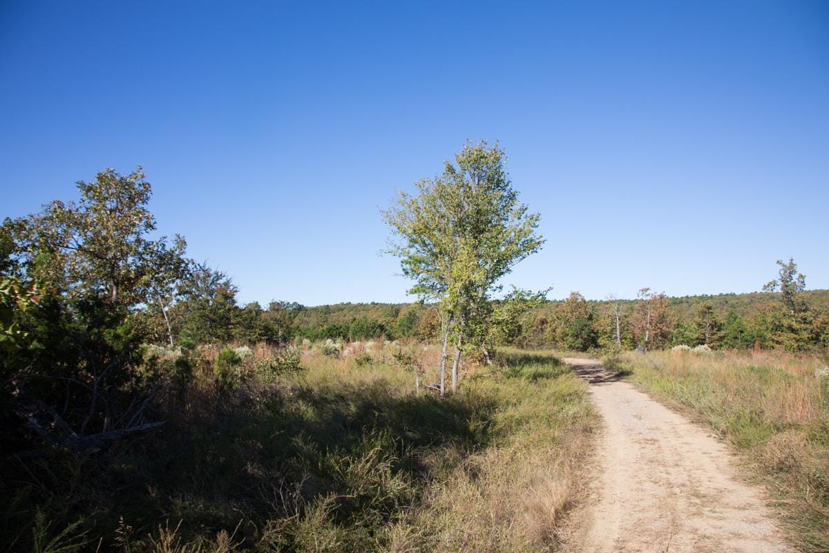 Stone Creek Phase I Tract 152 photo 10