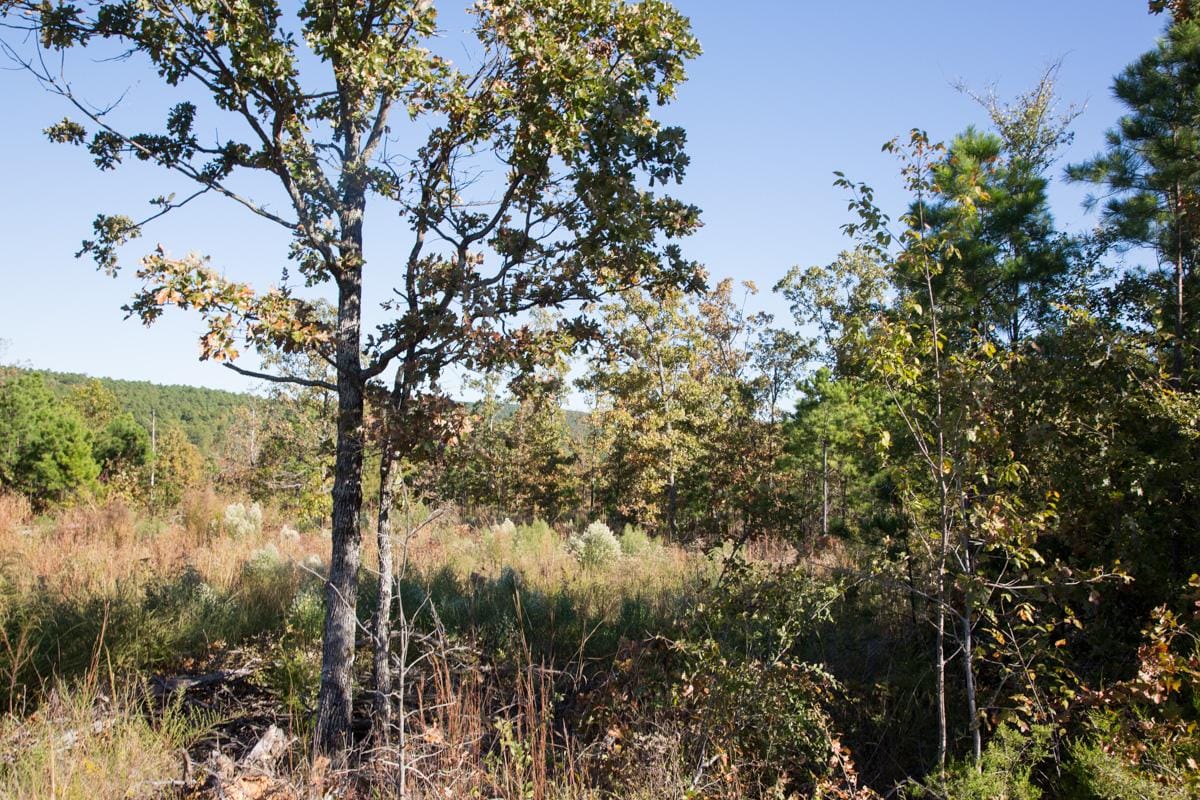 Stone Creek Phase I Tract 152 photo 5