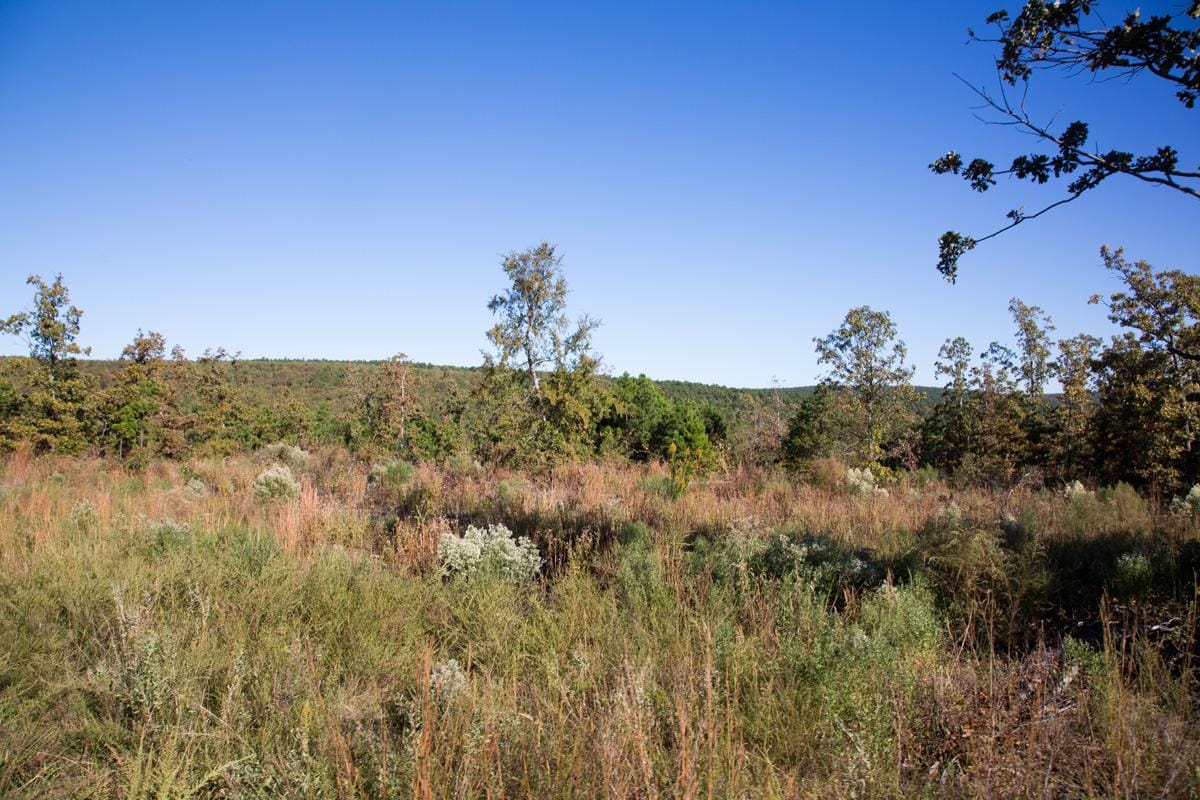 Stone Creek Phase I Tract 152 photo 4
