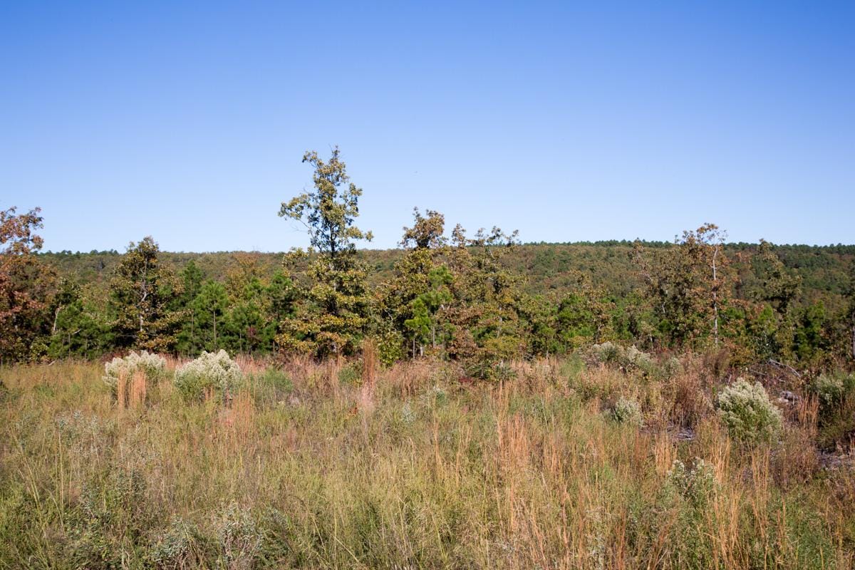 Stone Creek Phase I Tract 152 photo 7
