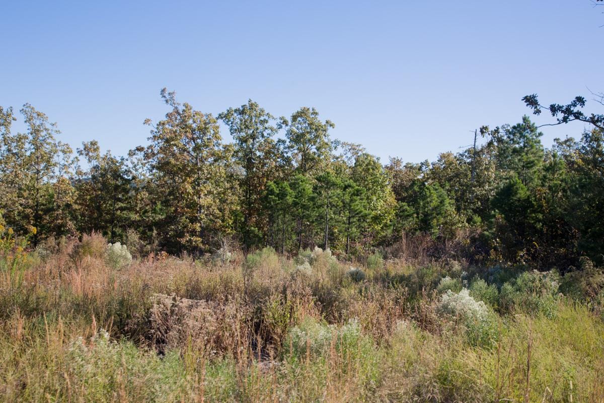 Stone Creek Phase I Tract 152 photo 8