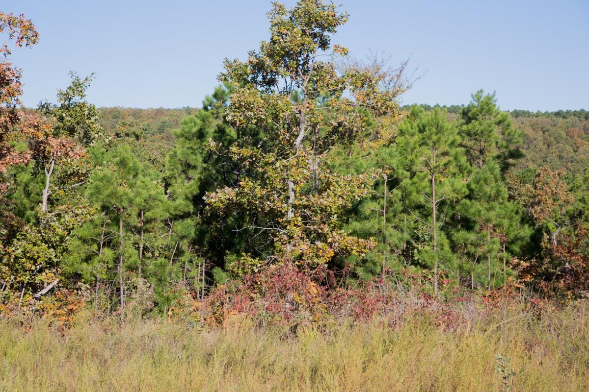 Stone Creek Phase I Tract 152 photo 9