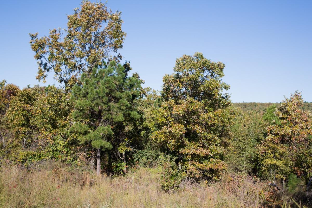 Stone Creek Phase I Tract 152 photo 11