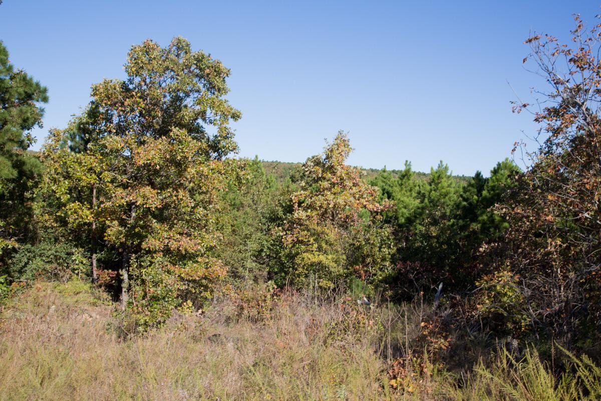 Stone Creek Phase I Tract 152 photo 12