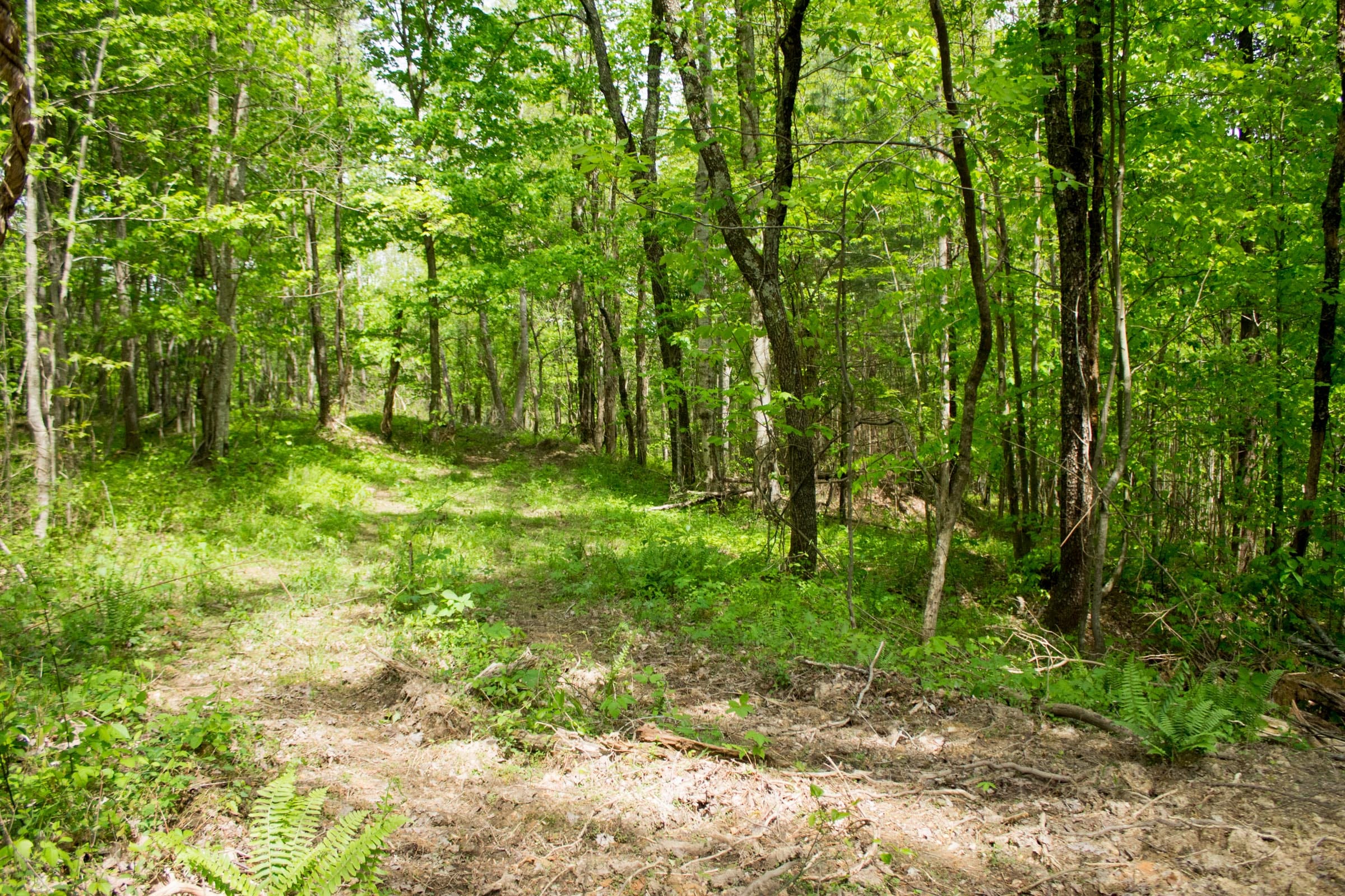 Trails End Tract 4 photo 6