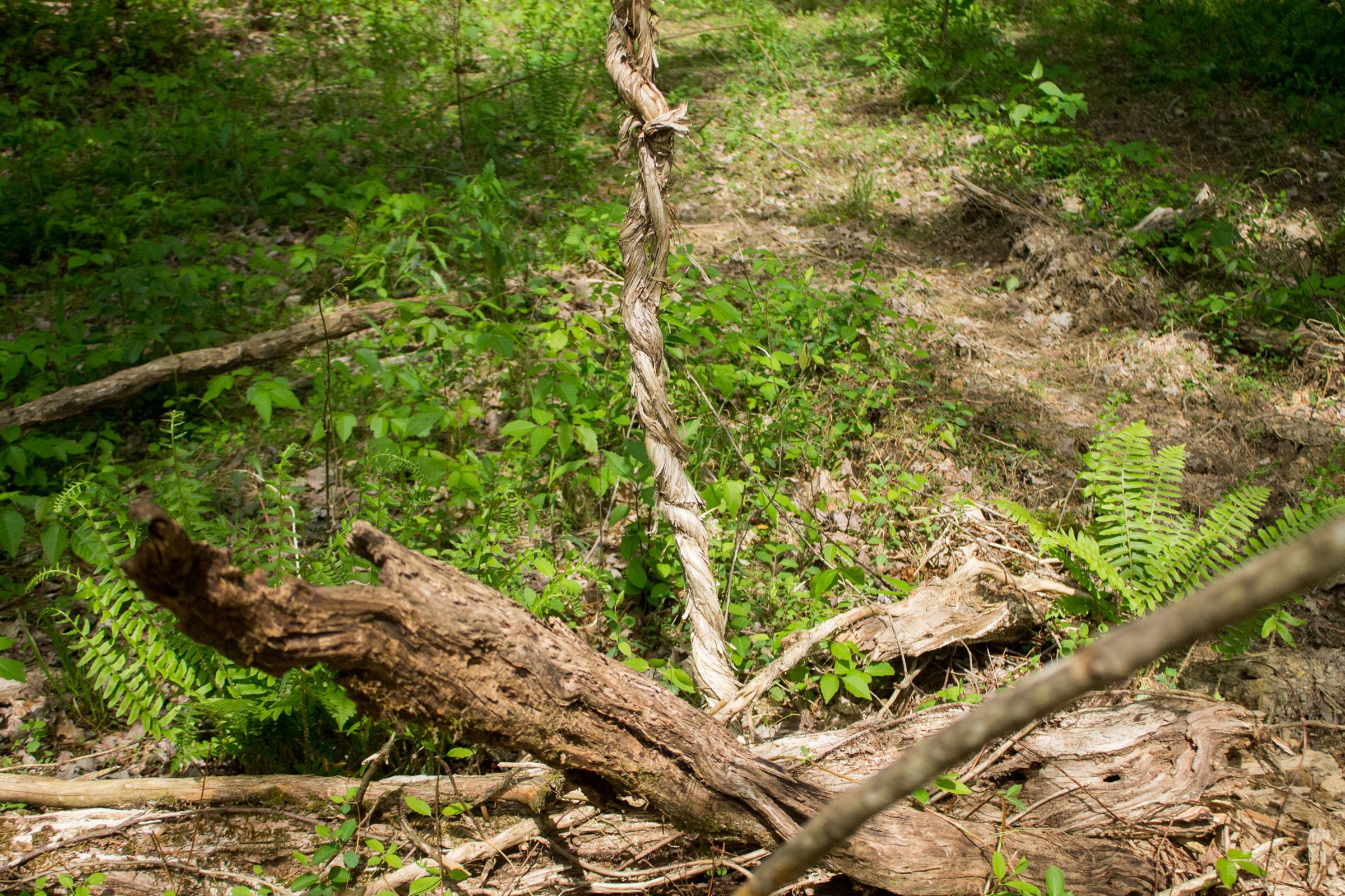 Trails End Tract 4 photo 7
