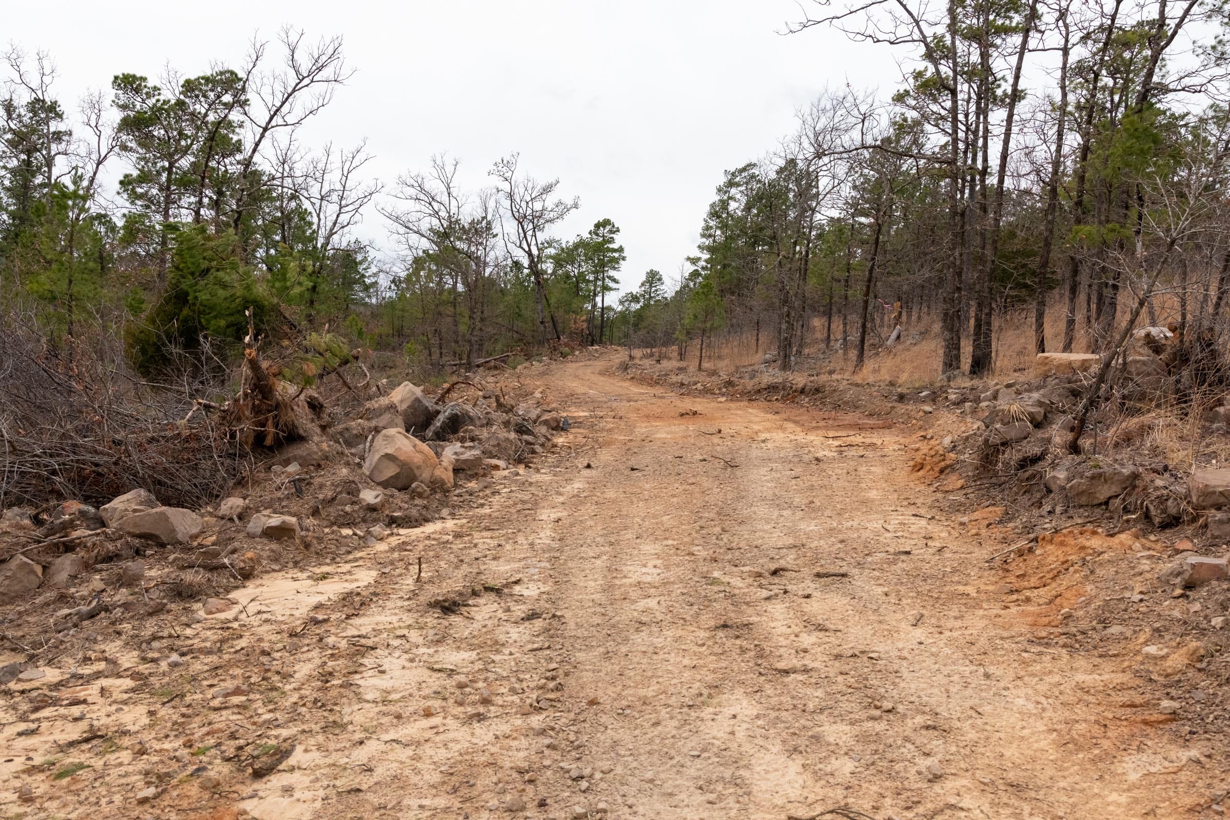 Stone Bridge Phase III Tract 200 photo 1