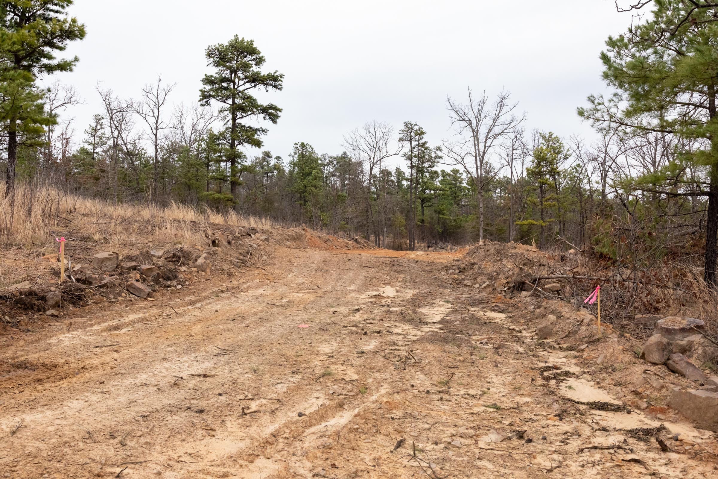 Stone Bridge Phase III Tract 200 photo 6