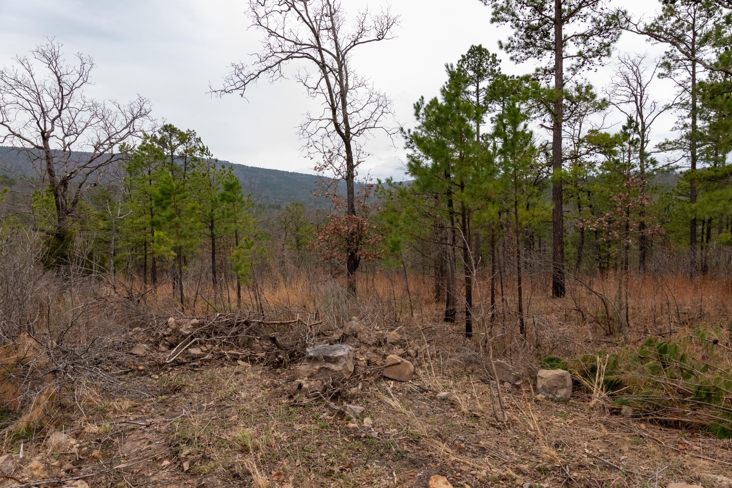 Stone Bridge Phase III Tract 200 photo 5