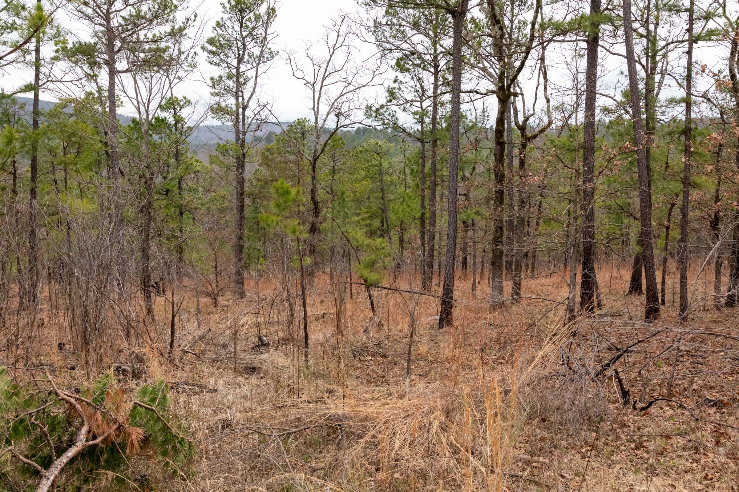 Stone Bridge Phase III Tract 200 photo 8