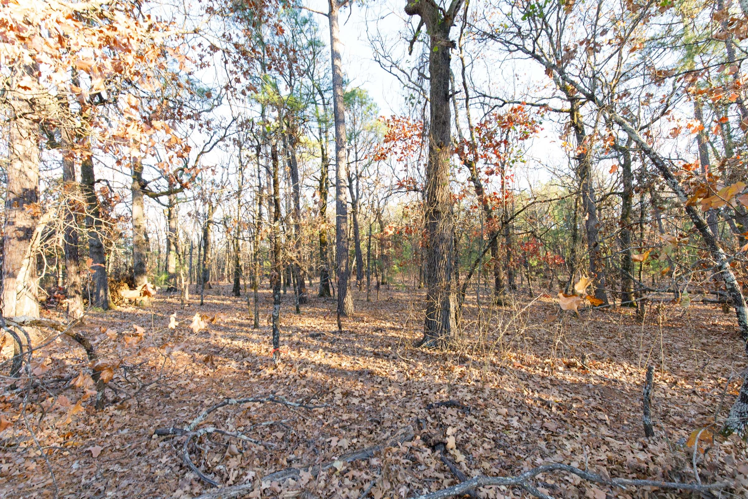 Stone Bridge Phase II Tract 90 photo 3