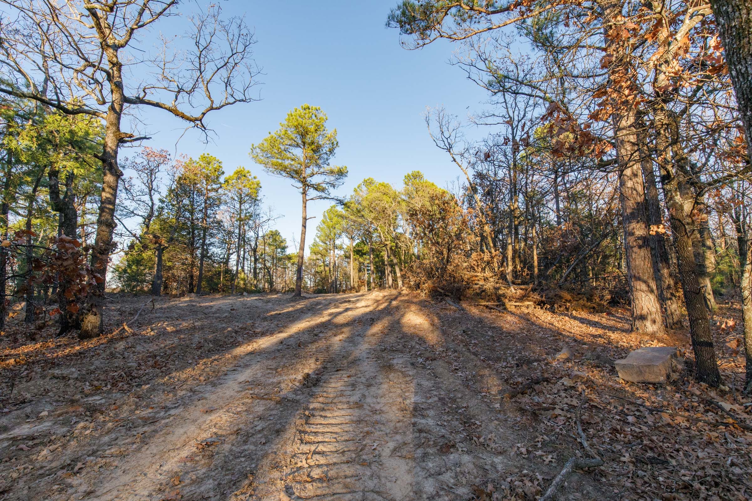 Stone Bridge Phase II Tract 90 photo 1