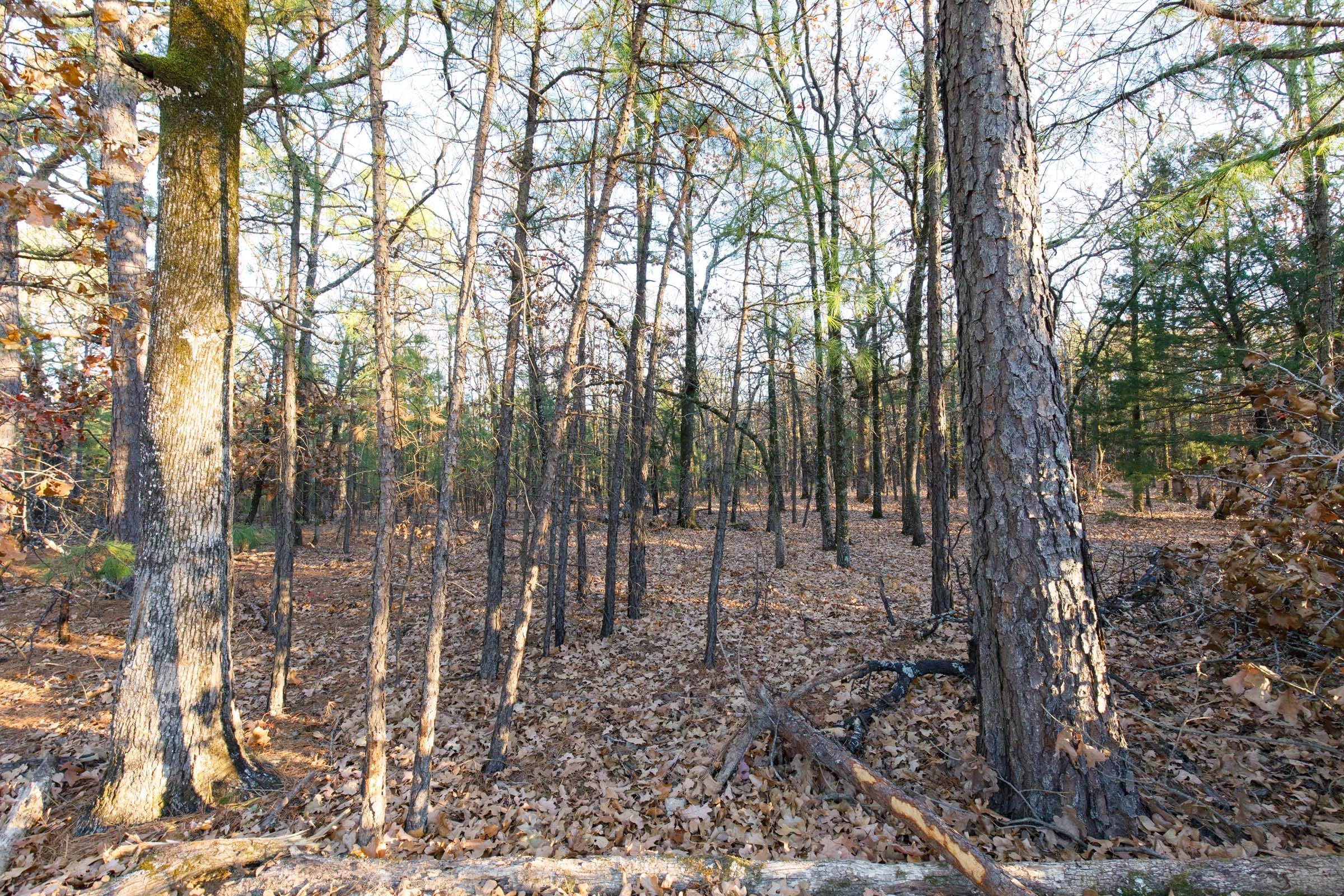 Stone Bridge Phase II Tract 90 photo 4