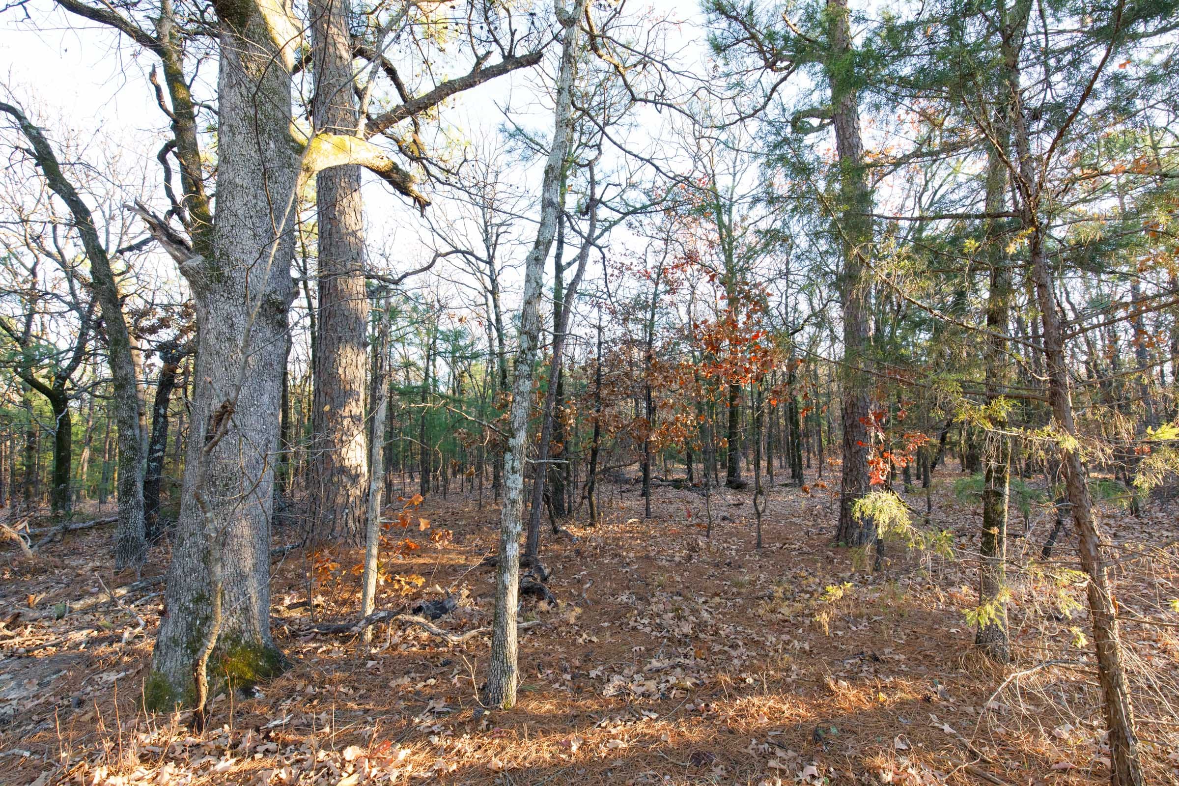 Stone Bridge Phase II Tract 90 photo 5
